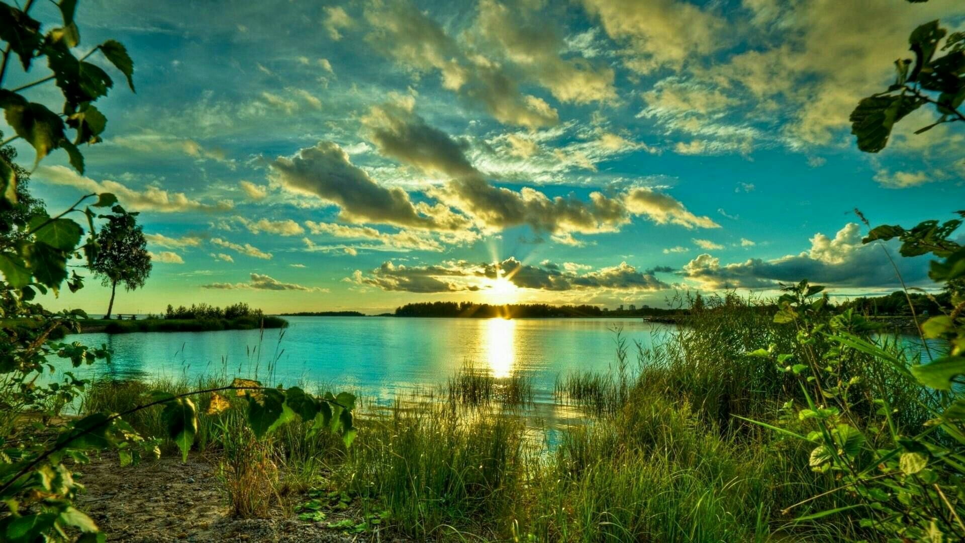 lake, no people, morning, beauty in nature, growth, sky, wetland, 1080P, bank, tranquil scene, lakeside, idyllic, tranquility, tree, nature, sunset, plant, HD Wallpaper
