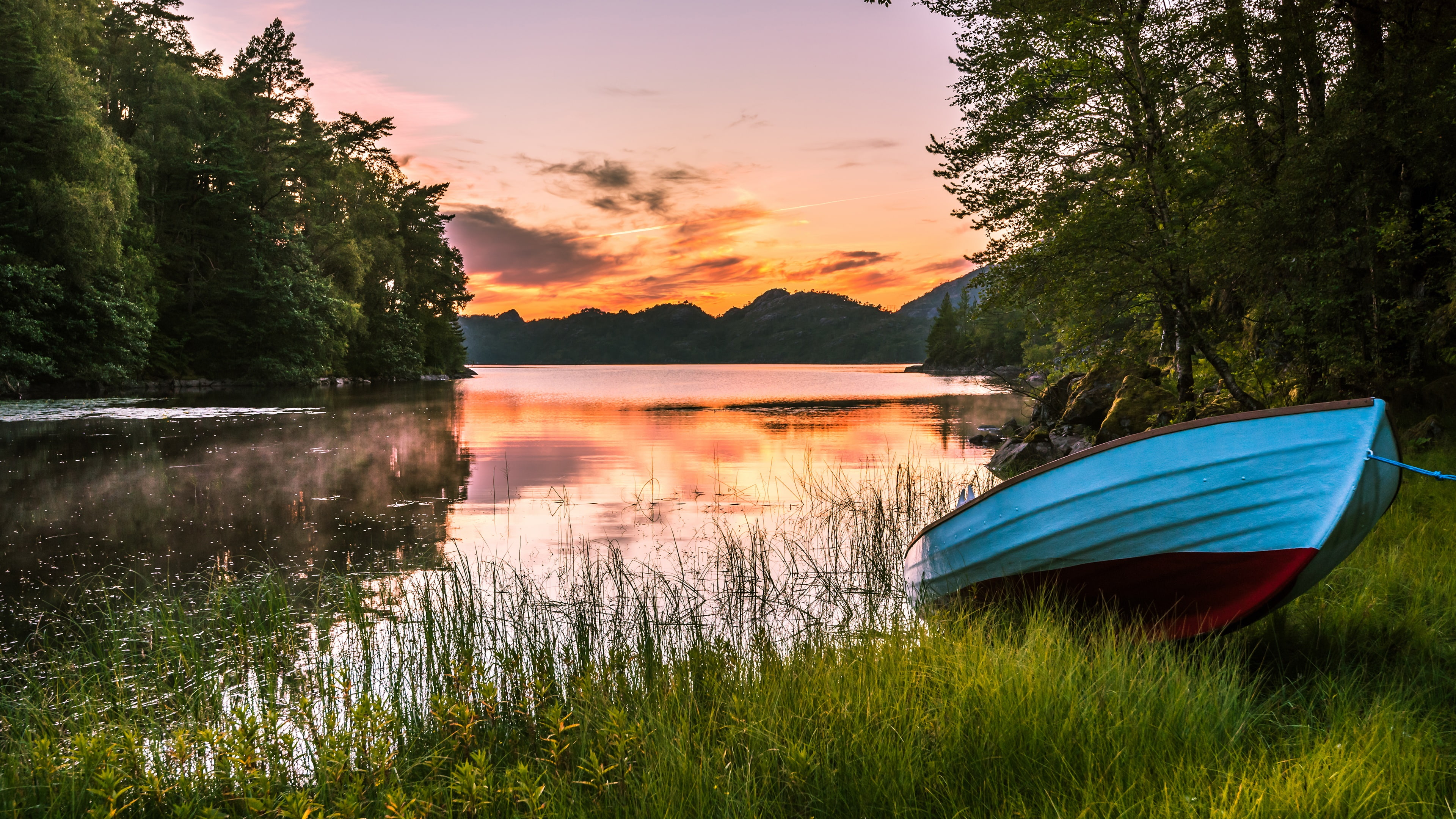tree, boat, waterway, lakeside, 4K, sky, bank, grass, plant, lake, landscape, water, HD Wallpaper