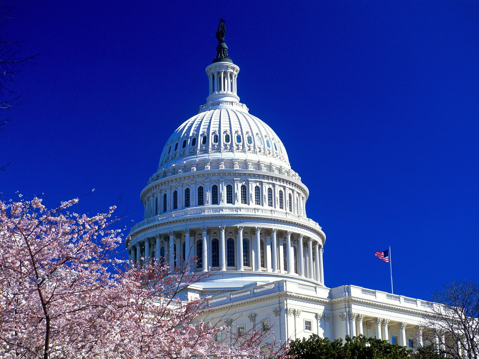 capitol, united, 720P, states, HD Wallpaper