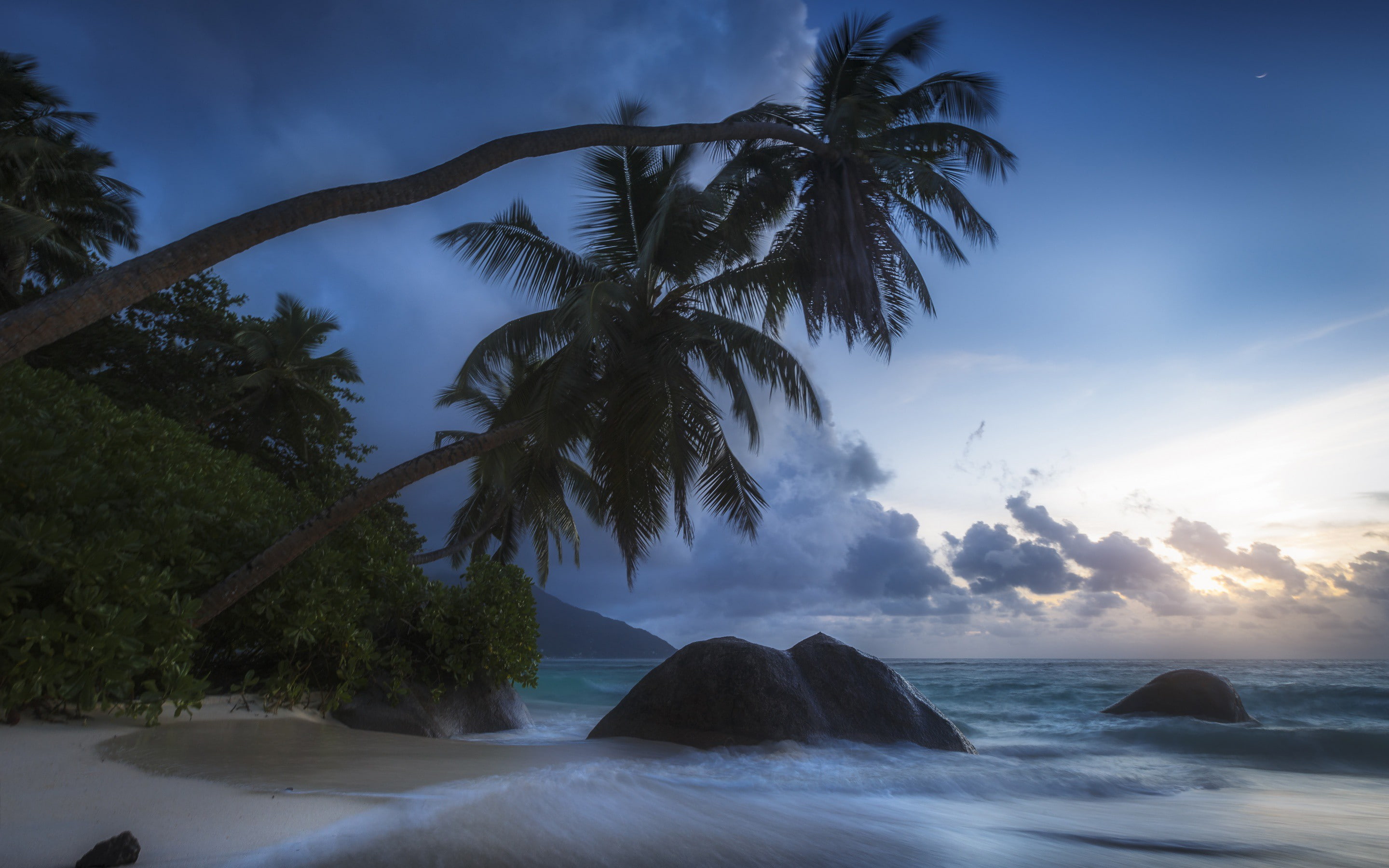 tropics, The Indian ocean, stones, tree, palm trees, the ocean, ocean, Seychelles, 2K, indian, coast, coconut, palm, HD Wallpaper
