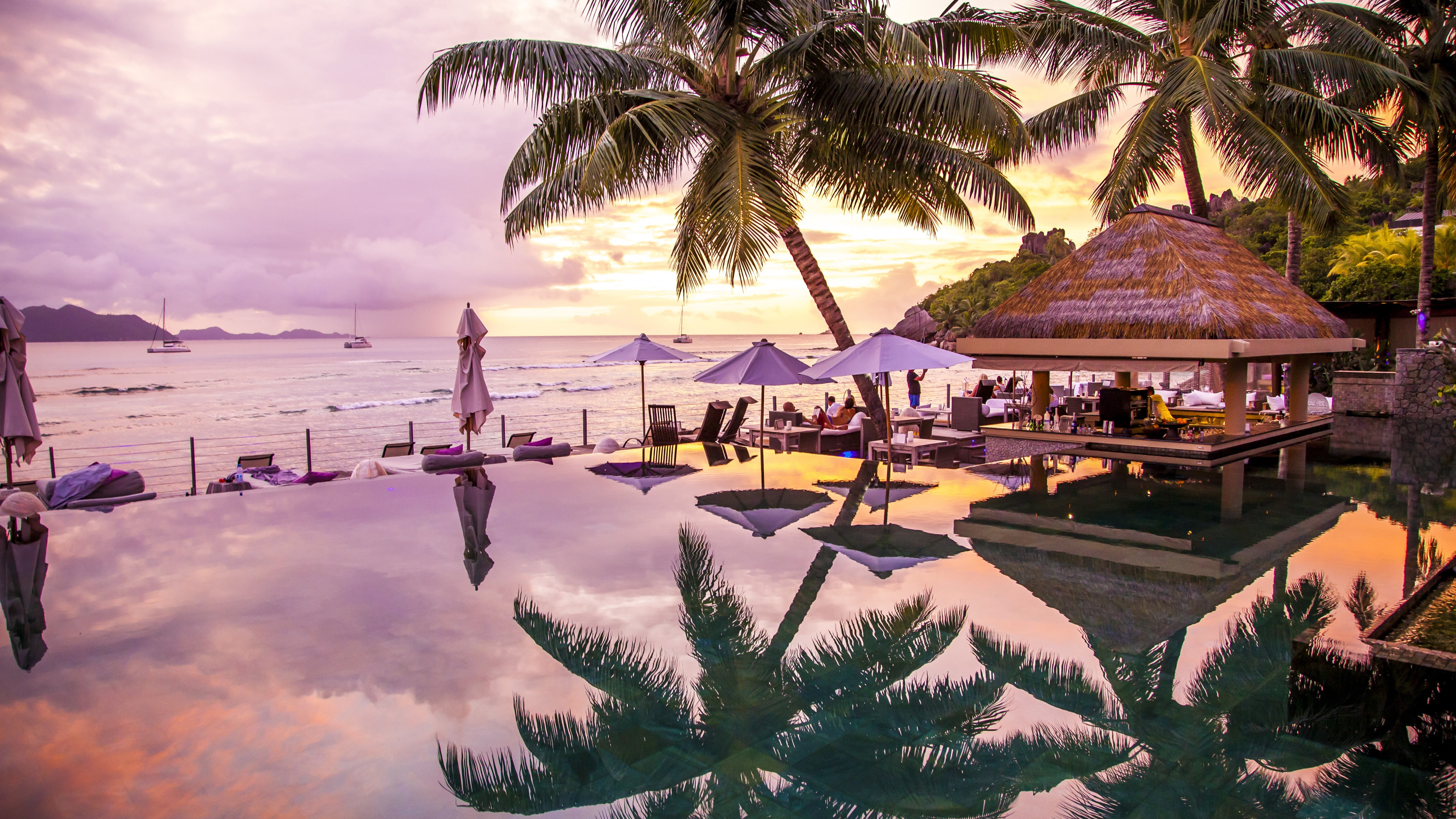 Infinity Pool, tree, brown, tourism, 5K, gazebo, near, palms, 8k, travel, Praslin, Seychelles, palm, green, La Digue, HD Wallpaper