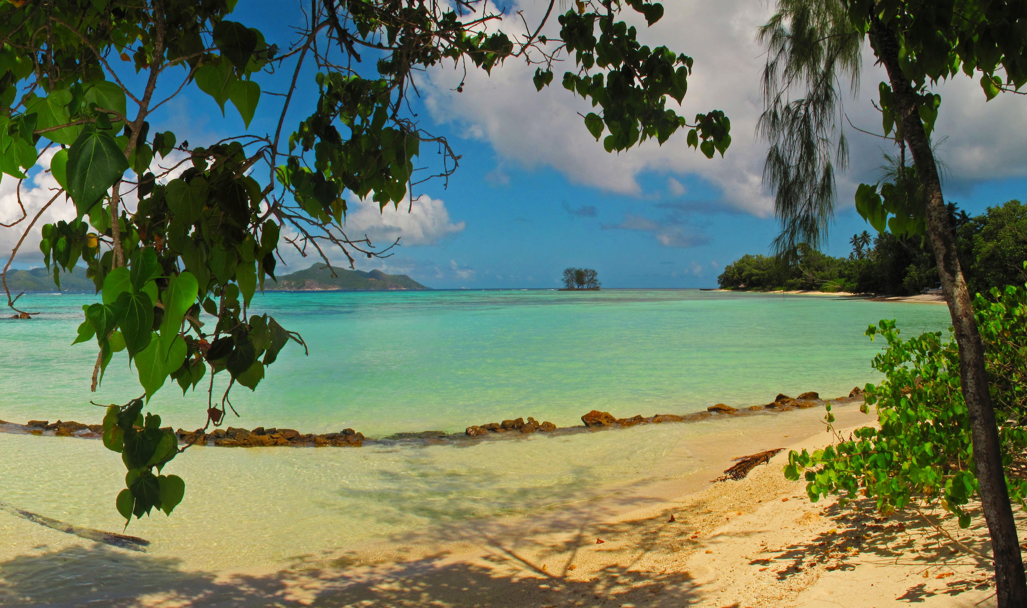 nature, lagoon, travel Destinations, leaves, asia, palm Tree, island, summer, sky, sea, body, travel, beauty In Nature, leaf, seychelles la digue, day, HD Wallpaper