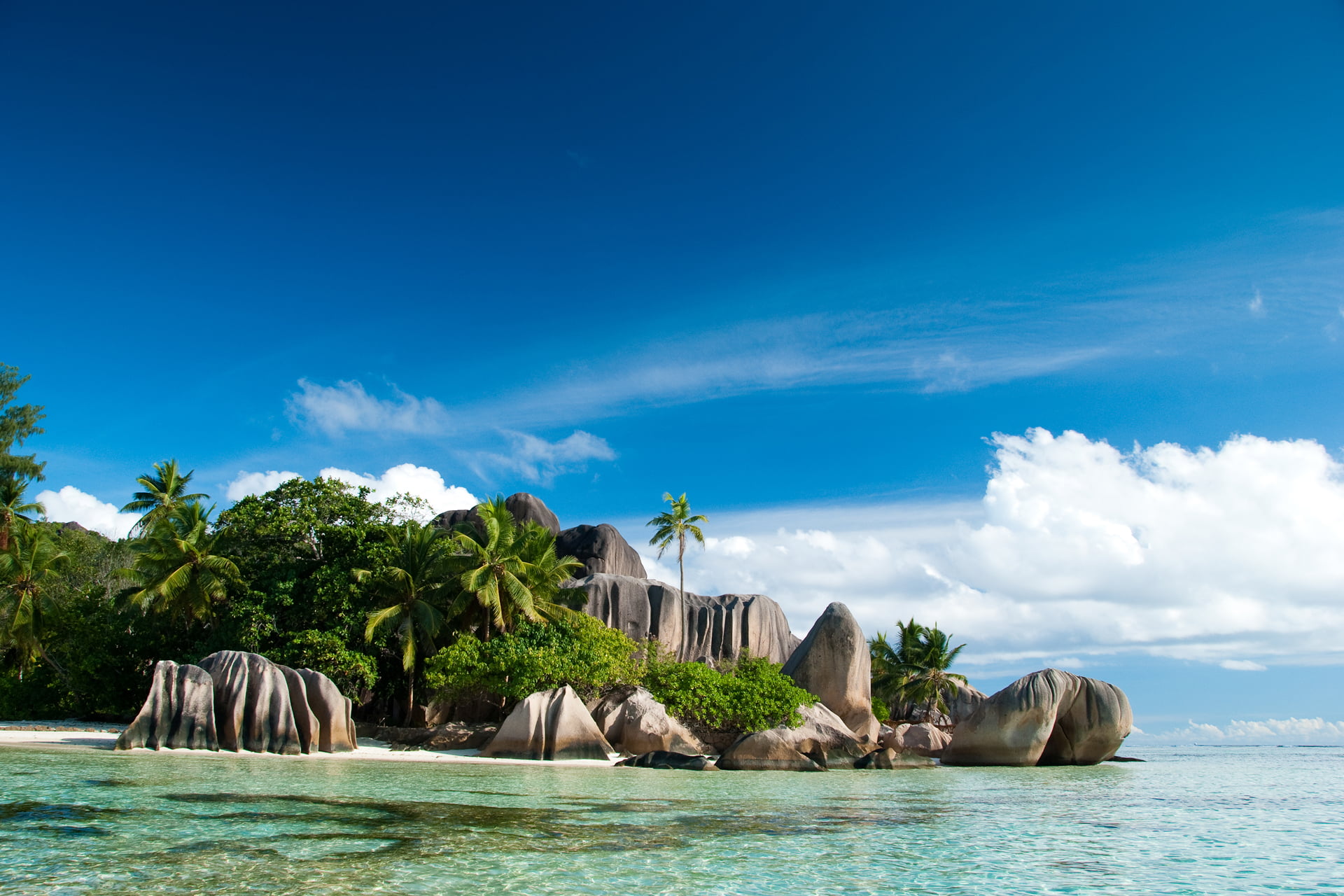 tranquility, brown, tree, the ocean, tranquil Scene, cloud - Sky, Seychelles, vacations, sea, idyllic, sunny, outdoors, 1080P, coastline, plant, bay Of Water, HD Wallpaper
