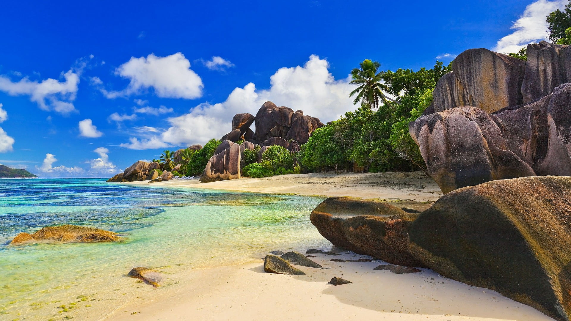 no people, coconut palm tree, la digue, rock formation, beauty in nature, ocean, solid, coast, plant, bay, water, rock, scenics - nature, shore, beach, HD Wallpaper
