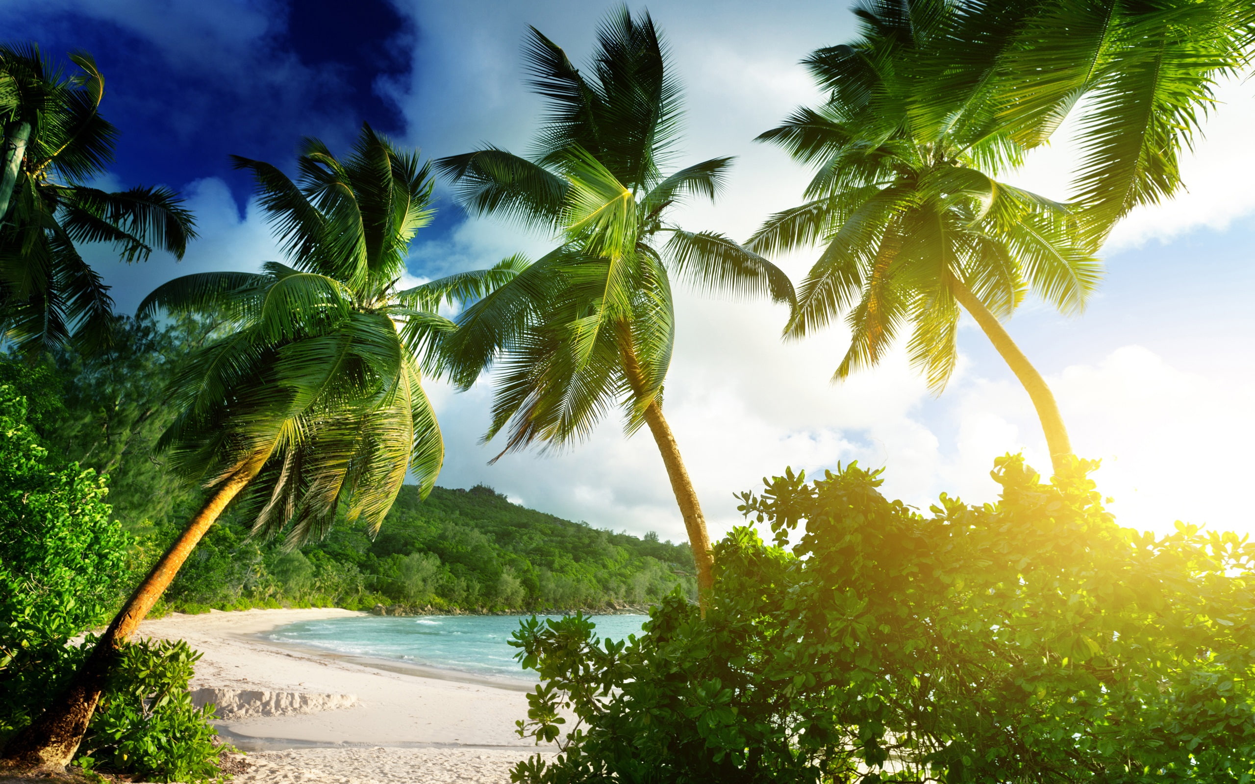 Island, Takamaka, Beach, 2K, Sea, Tropical, palms, Sunshine, Mahe, Seychelles, Palm, HD Wallpaper