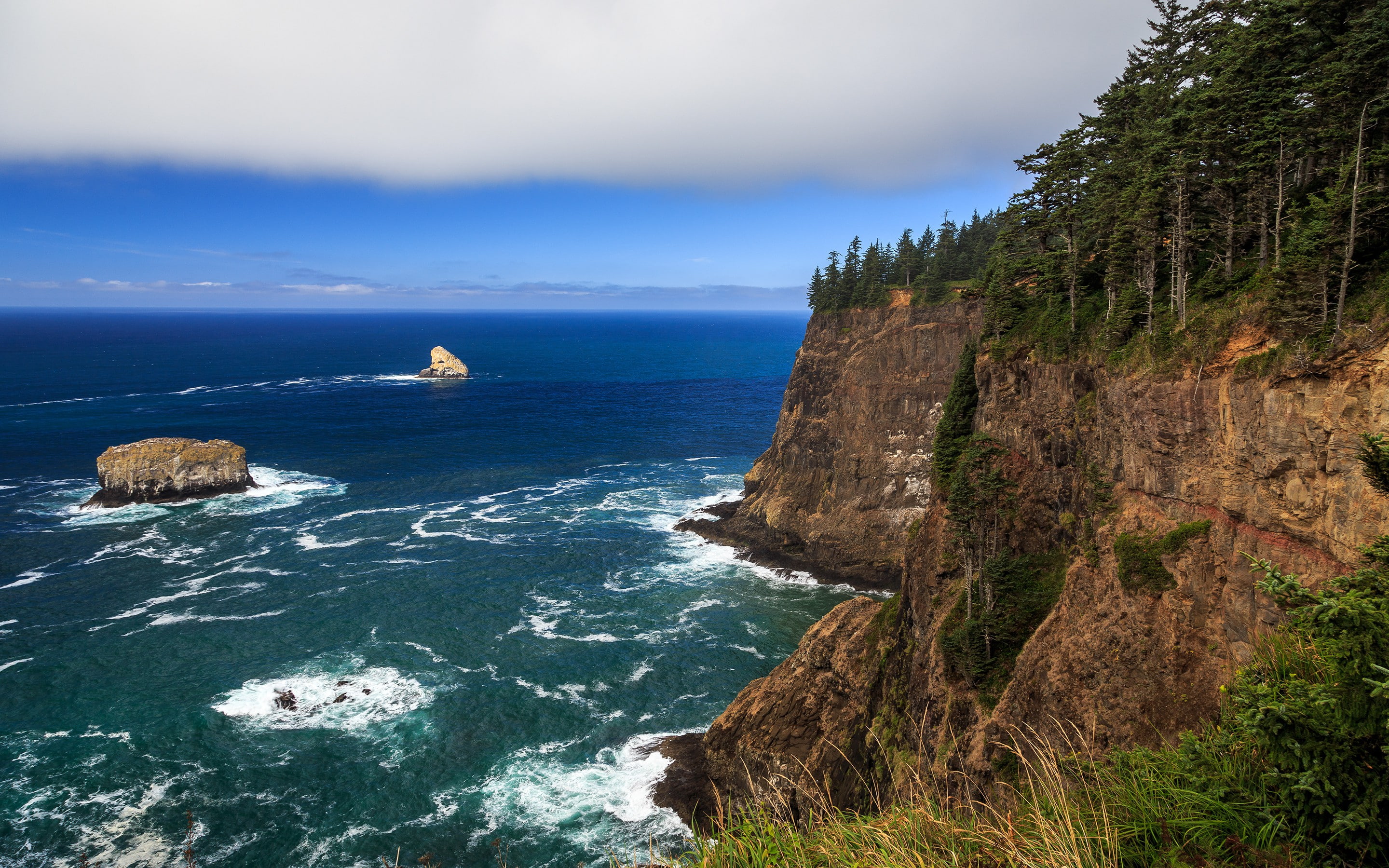 2K, oregon, brown, forest, rocks, beach, ocean, coast, Oregon Coast, cliff, HD Wallpaper