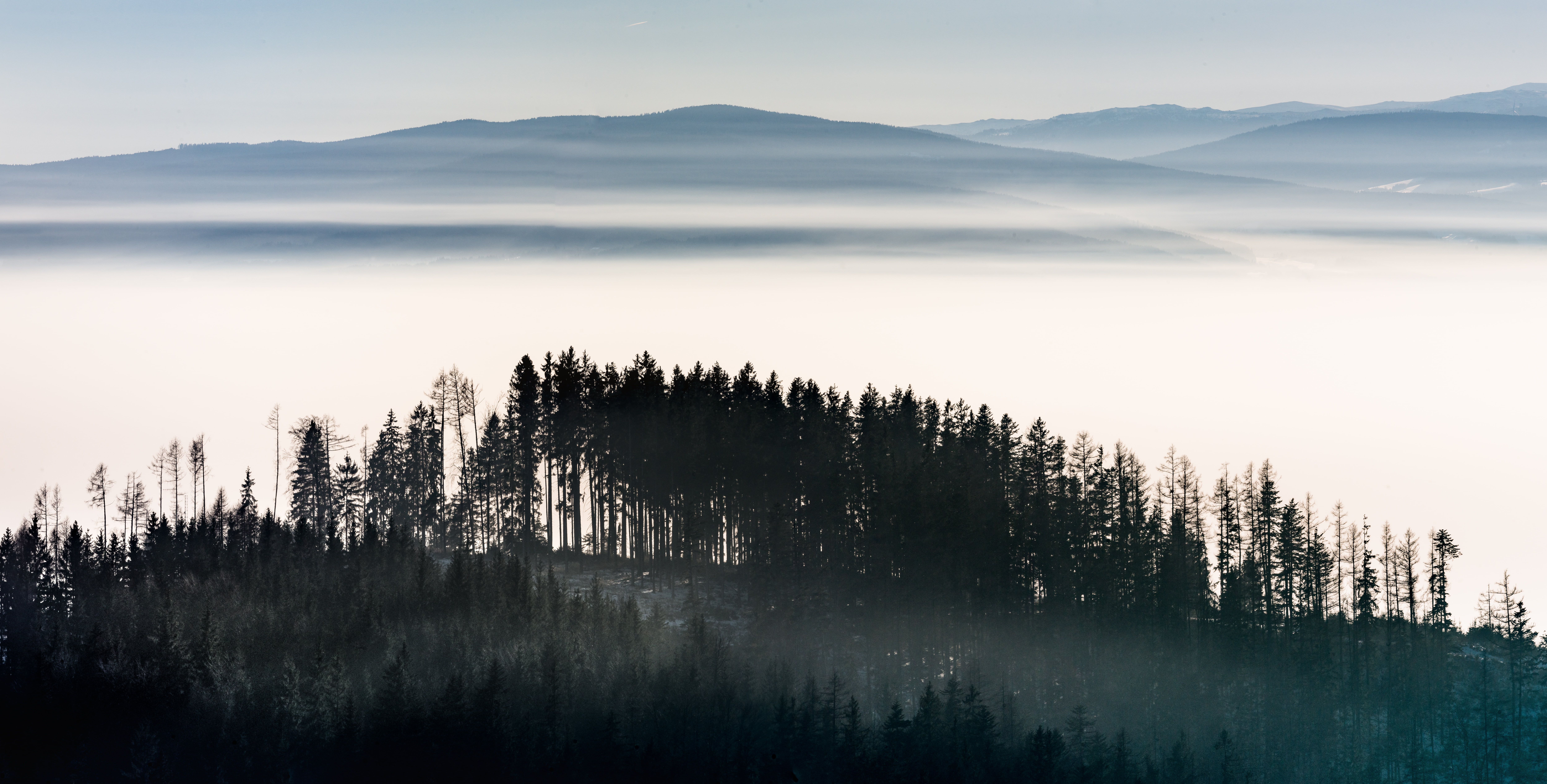 mountain, sunrise, tree, colors, mountains, sun, sunset, fog, 8K, sea of fog, forest, fog  forest, photo, snow, outdoor, landscape, nature, trees, scenics, HD Wallpaper