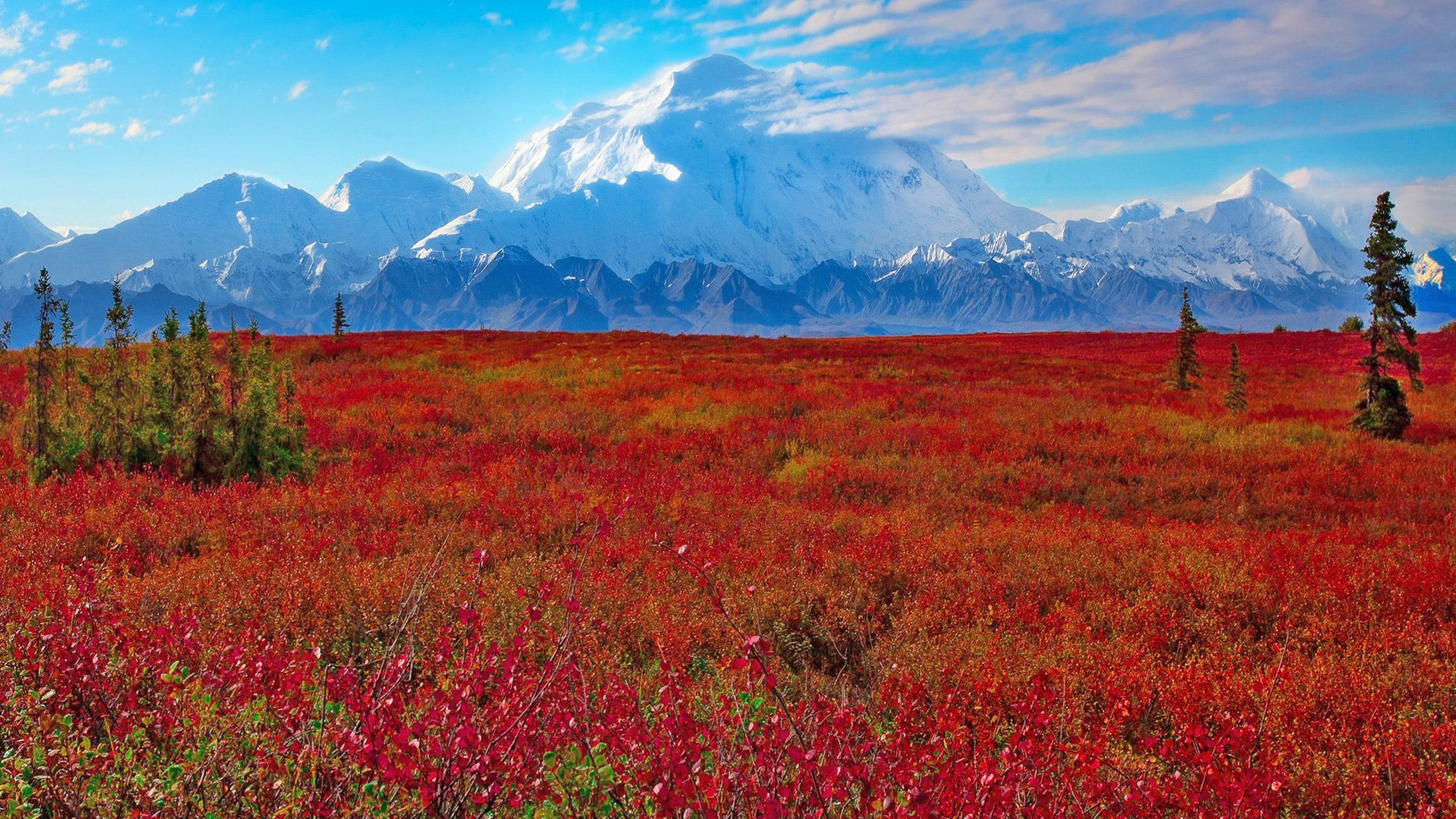 states, national, park, ak, preserve, denali, 2K, united, HD Wallpaper