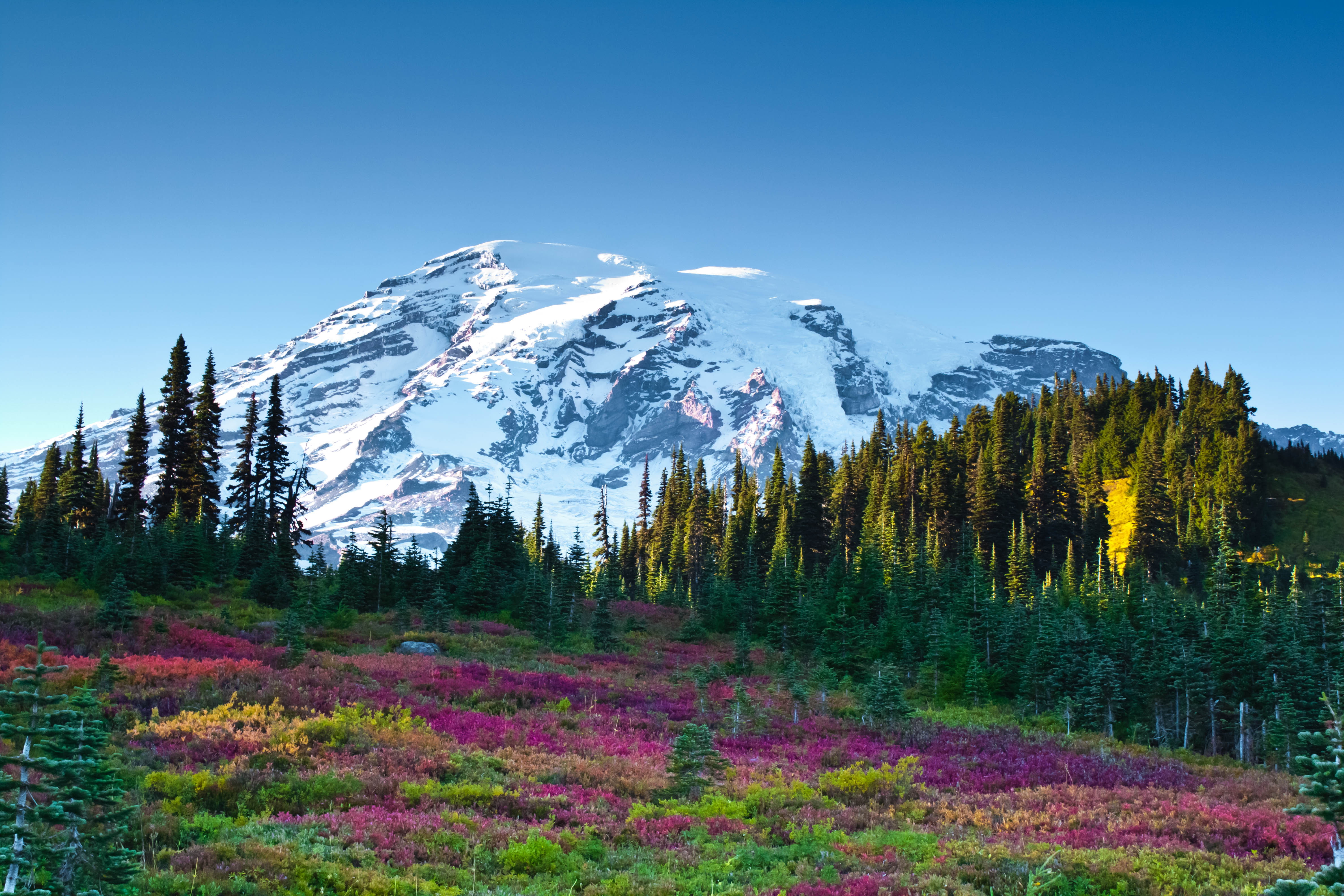 4K, 4K, Mount Adams, Mount Rainier National Park, HD Wallpaper