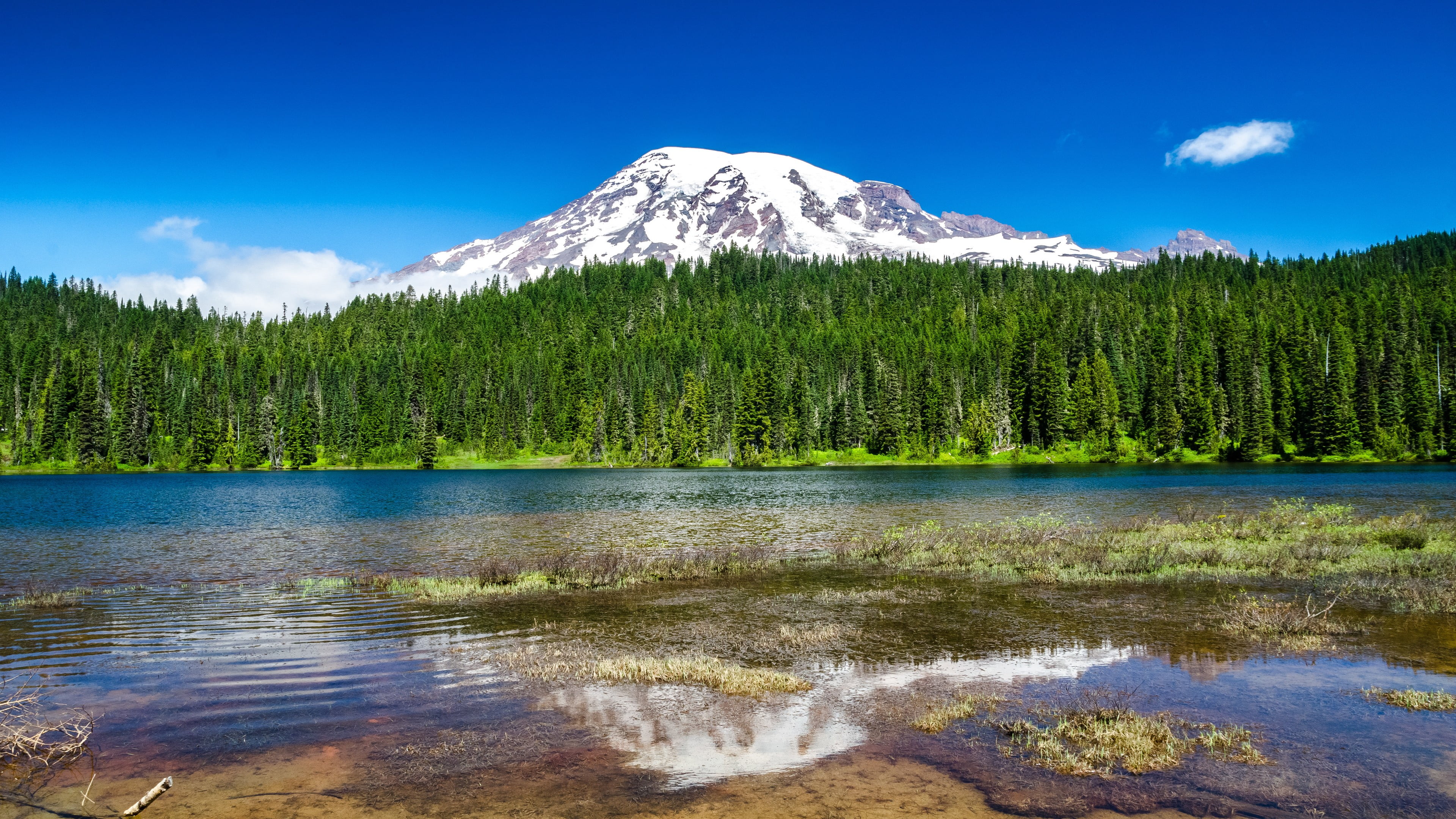 nature, cloud - sky, mountain, land, outdoors, green color, tranquil scene, tree, forest, snowcapped mountain, Mt Rainier, pine tree, beauty in nature, HD Wallpaper