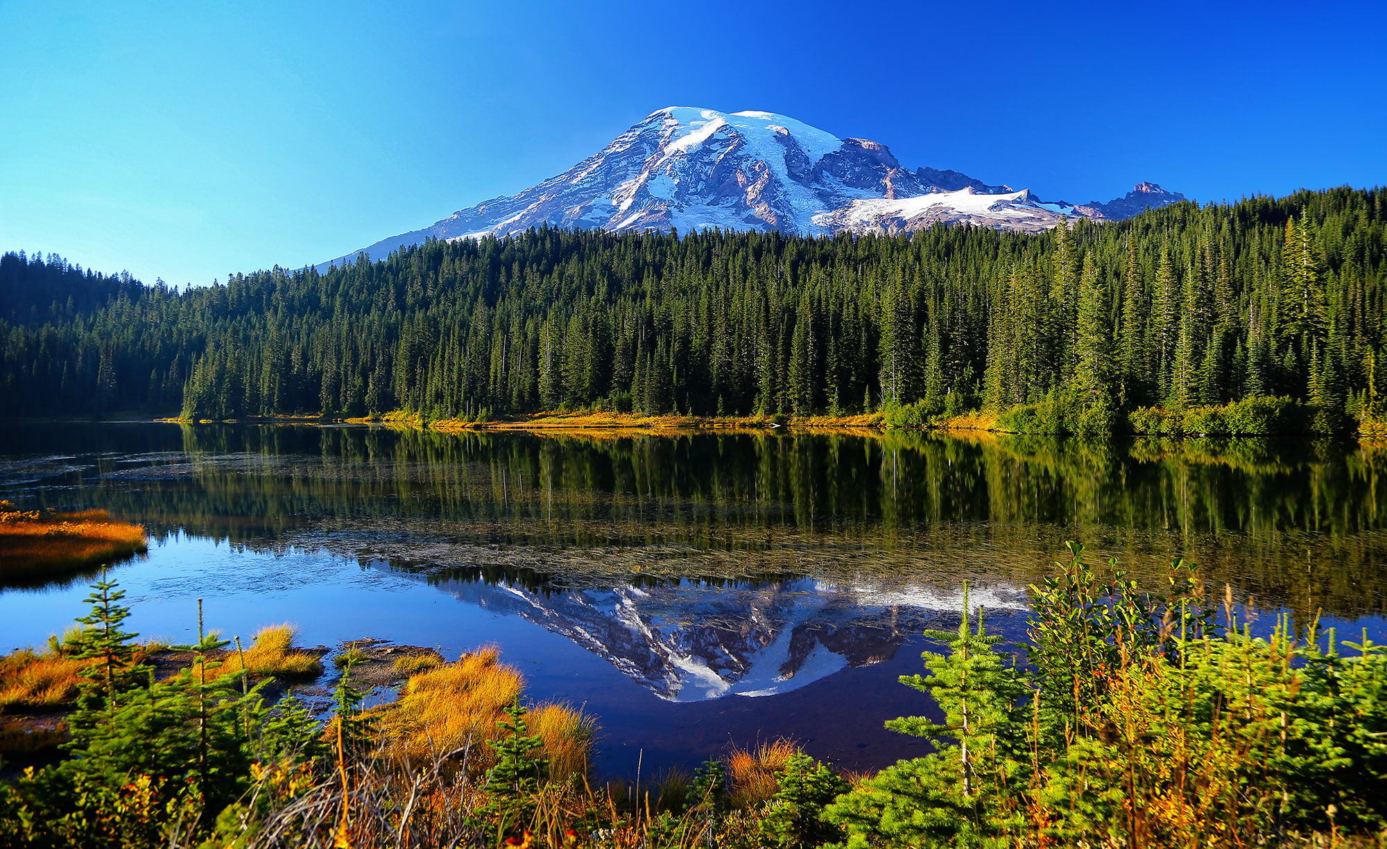 lake, Mount Rainier National Park, reflection, 1080P, mountains, forest, autumn, Reflection Lake, water, trees, HD Wallpaper