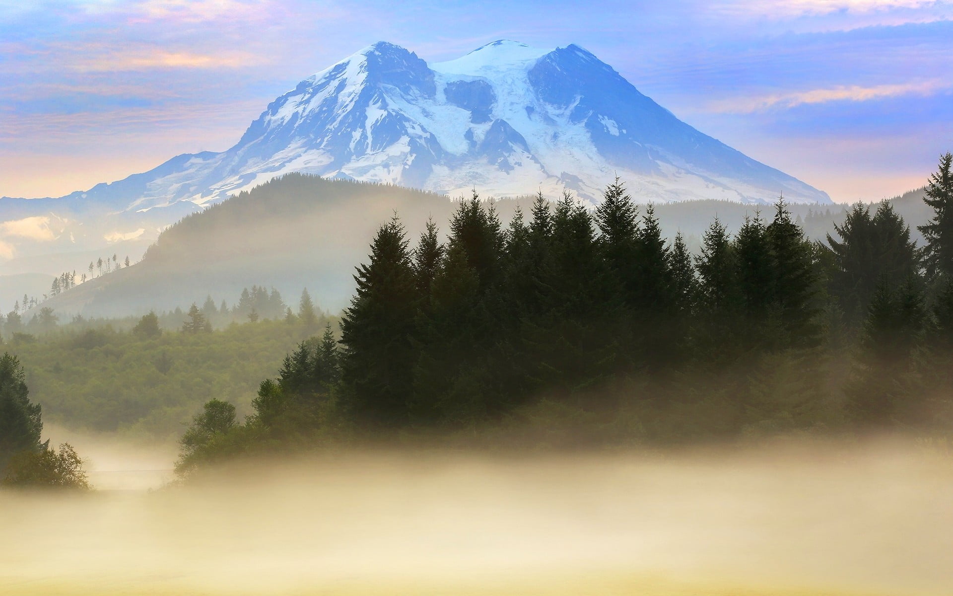 tree, white, cloud - sky, fog, sky, beauty in nature, snowcapped mountain, idyllic, mountains, tranquility, tranquil scene, non-urban scene, Mount Rainier, HD Wallpaper
