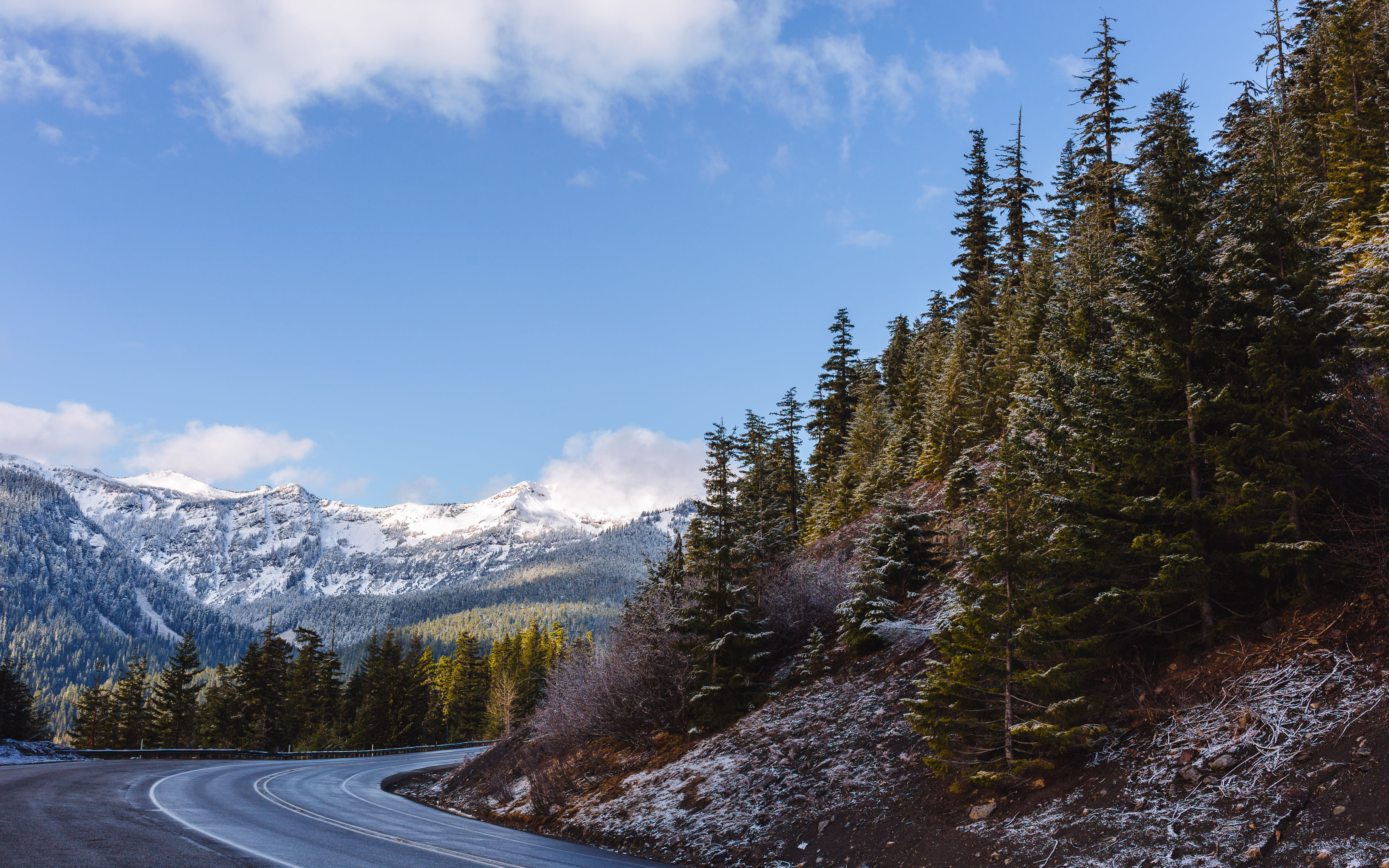 ISO, scenics, forest, westrock, scenery, Mt. Rainier National Park, outdoors, 35mm, mountain, landscape, pine trees, F1.4, beside, tree, white, Dual, ART, HD Wallpaper