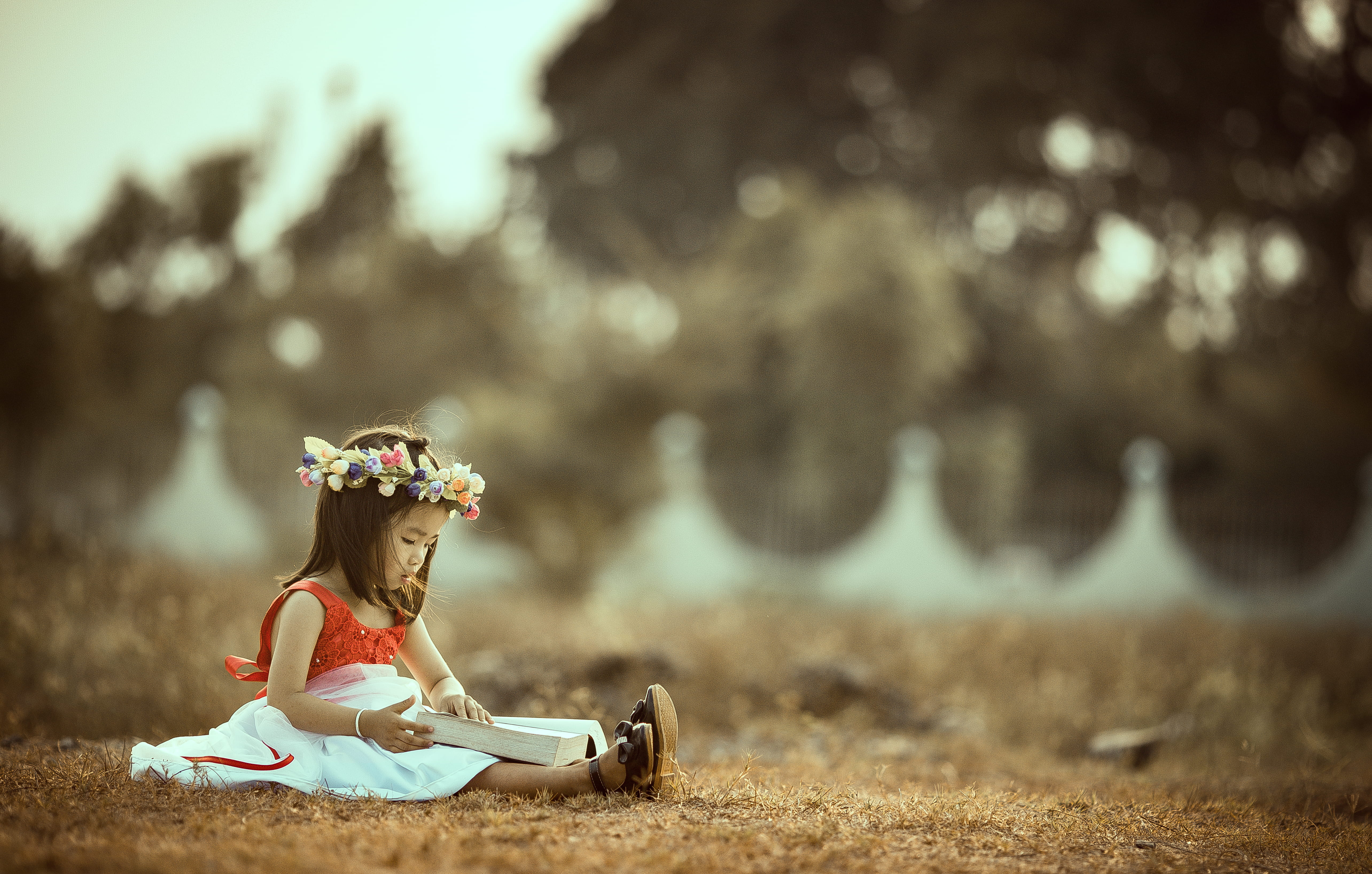 wearing, girl, flower wreath, person, holding, full length, white, whil, clothing, sat, ground, leisure activity, lei, filed, outdoors, land, shirt, reading, HD Wallpaper