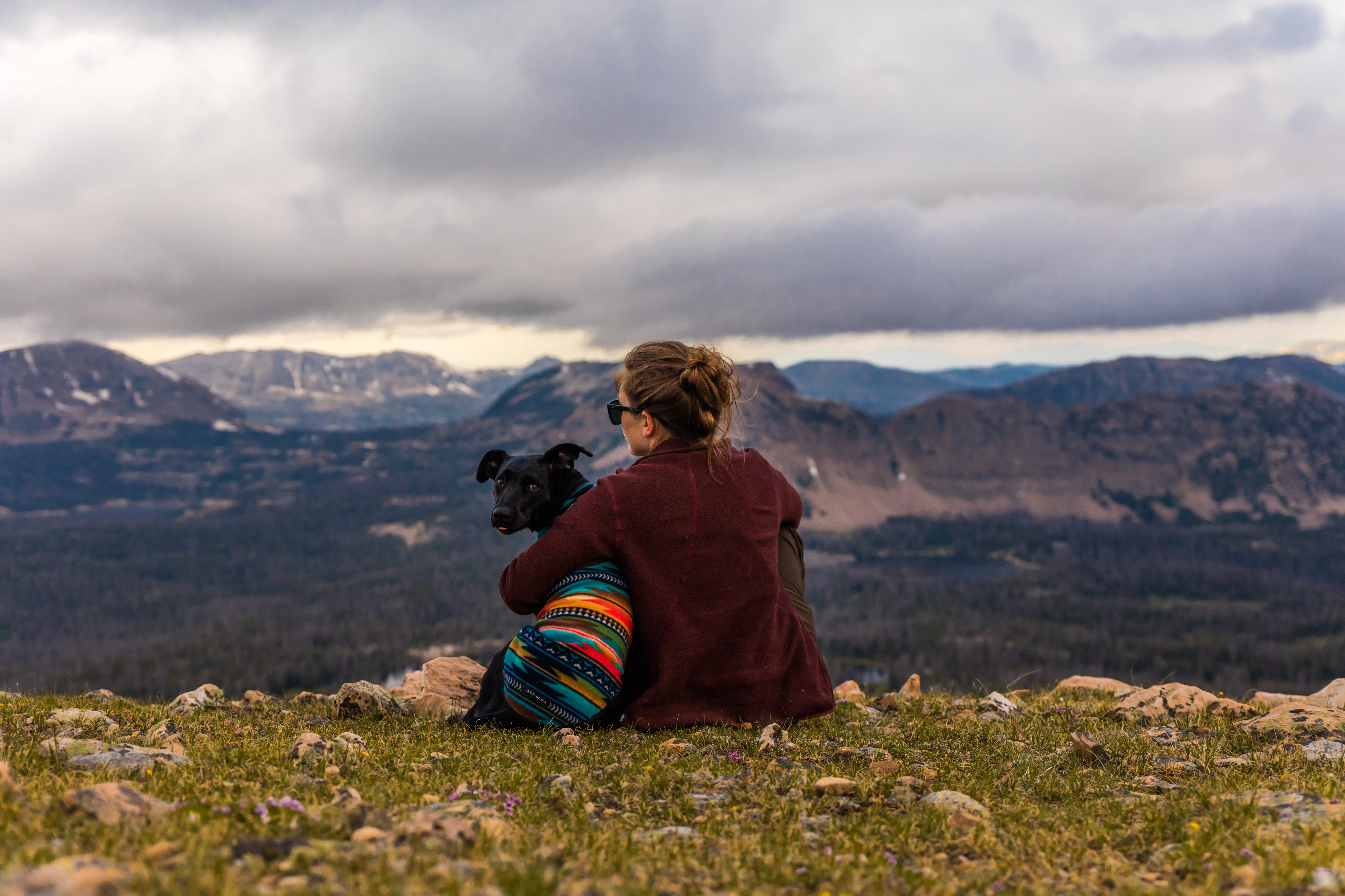 grass, sky, outdoors, nature, solitude, landscape, mammal, view, mountain range, woman, sat, sitting, overlooking, adult, freedom, alone, green, dog, coat, HD Wallpaper