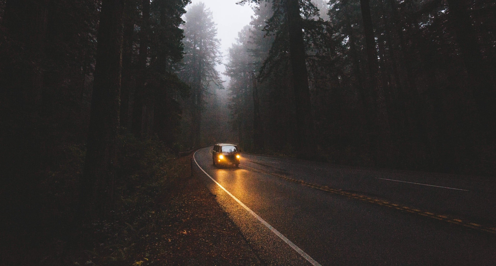 pine trees, outdoors, nature, on the move, no people, gray, land vehicle, night, landscape, direction, tree, road, transportation, concrete, headlight, HD Wallpaper