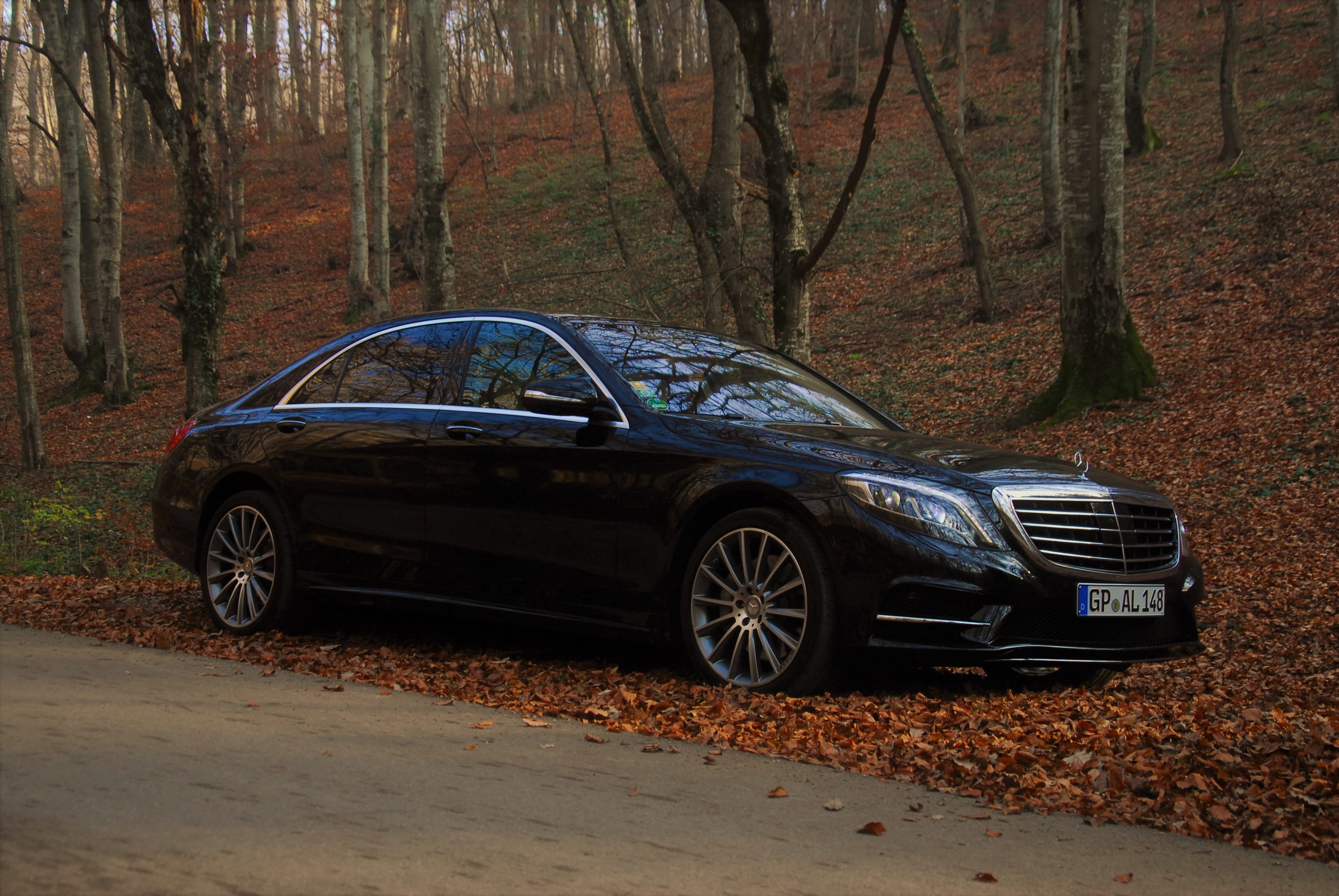 woodland, s class, black, sedan, transport, forest, trees, s, nature, near, auto, car, class, land, 4K, day, plant, autumn, luxury car, vehicle, vintage car, HD Wallpaper
