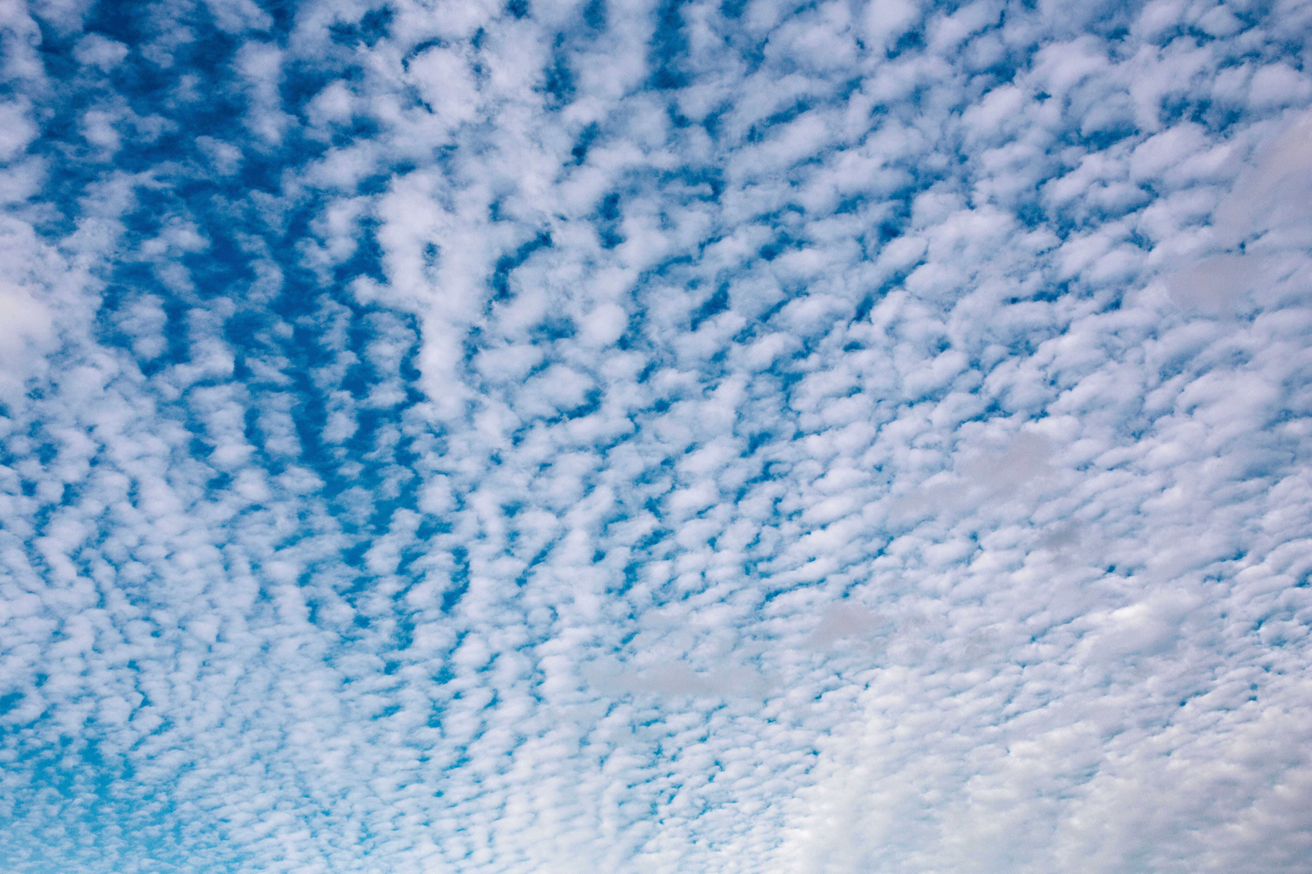 cloudscape, heaven, blue sky, vast, 5K, clouds, cloud - sky, softness, scenics - nature, fluffy, nature, cloud, full frame, no people, day, blue, tranquil scene, HD Wallpaper