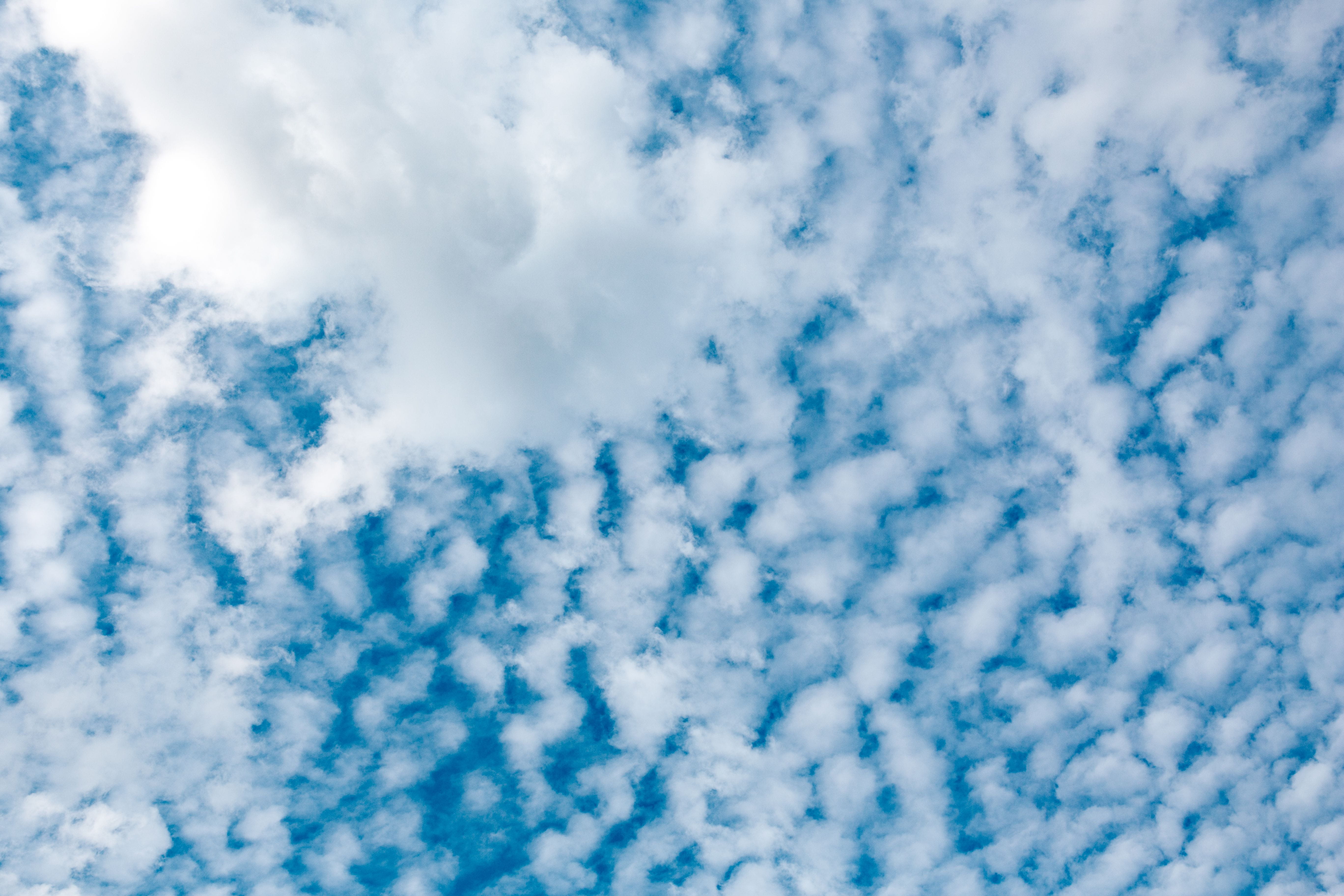 backgrounds, vast, blue sky, blue, fluffy, softness, cloud, pattern, abstract backgrounds, air, 5K, sky, white color, no people, outdoors, scenics - nature, HD Wallpaper