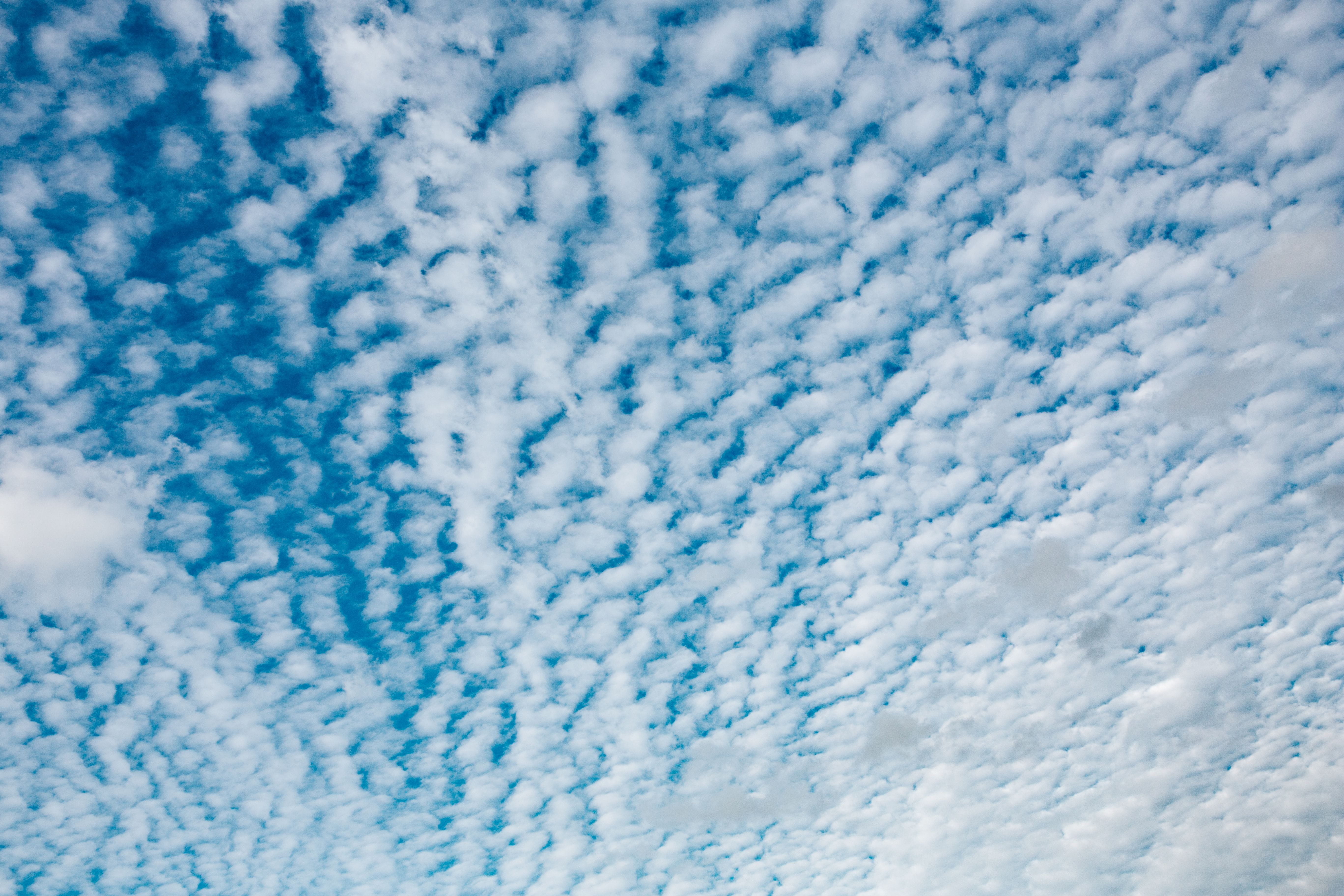 environment, cloud - sky, pattern, abstract backgrounds, backgrounds, nature, textured, no people, 5K, fluffy, vast, full frame, white color, air, abstract, HD Wallpaper