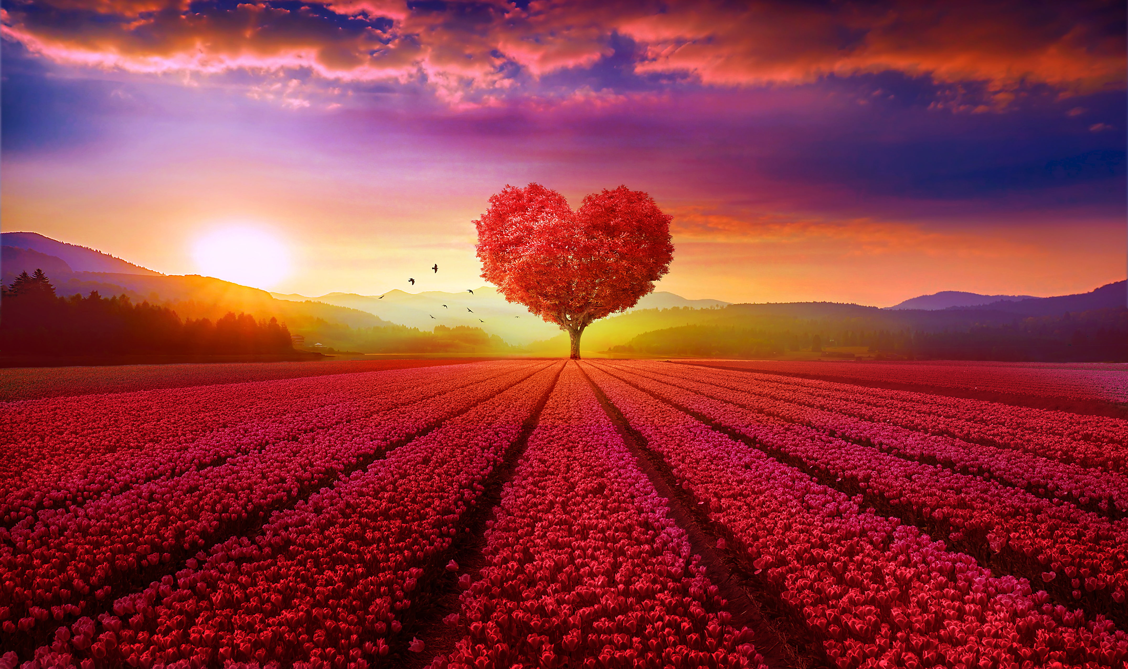 Red, Heart tree, Scenery, HD, Flower garden, Love heart, 4K, Sunrise, 4K, Tree, HD Wallpaper