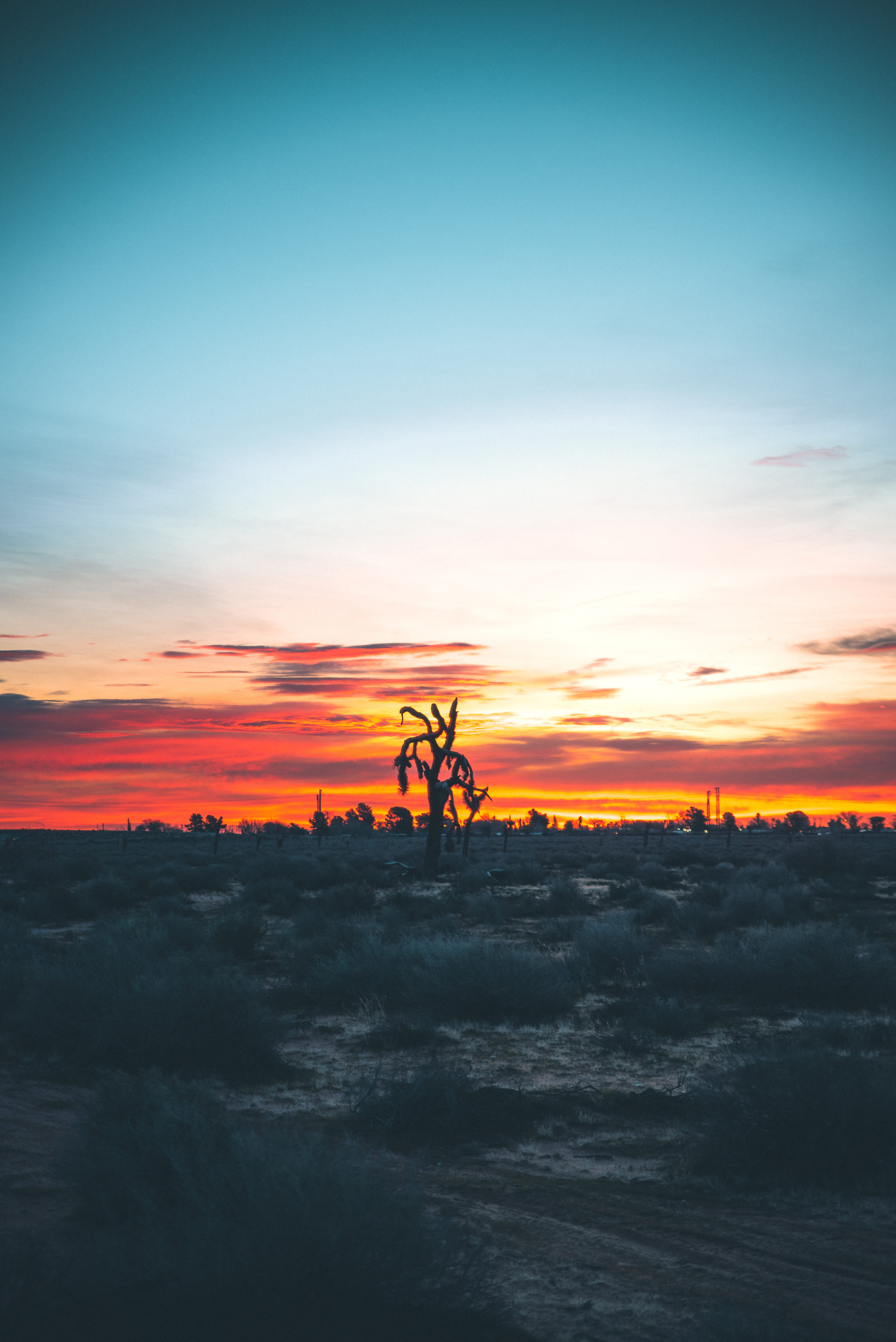 5K, sunset, idyllic, mountains, wanderlust, beauty in nature, tree, field, no people, united states, moody, tranquil scene, plant, sky, silhouette, Phone HD Wallpaper
