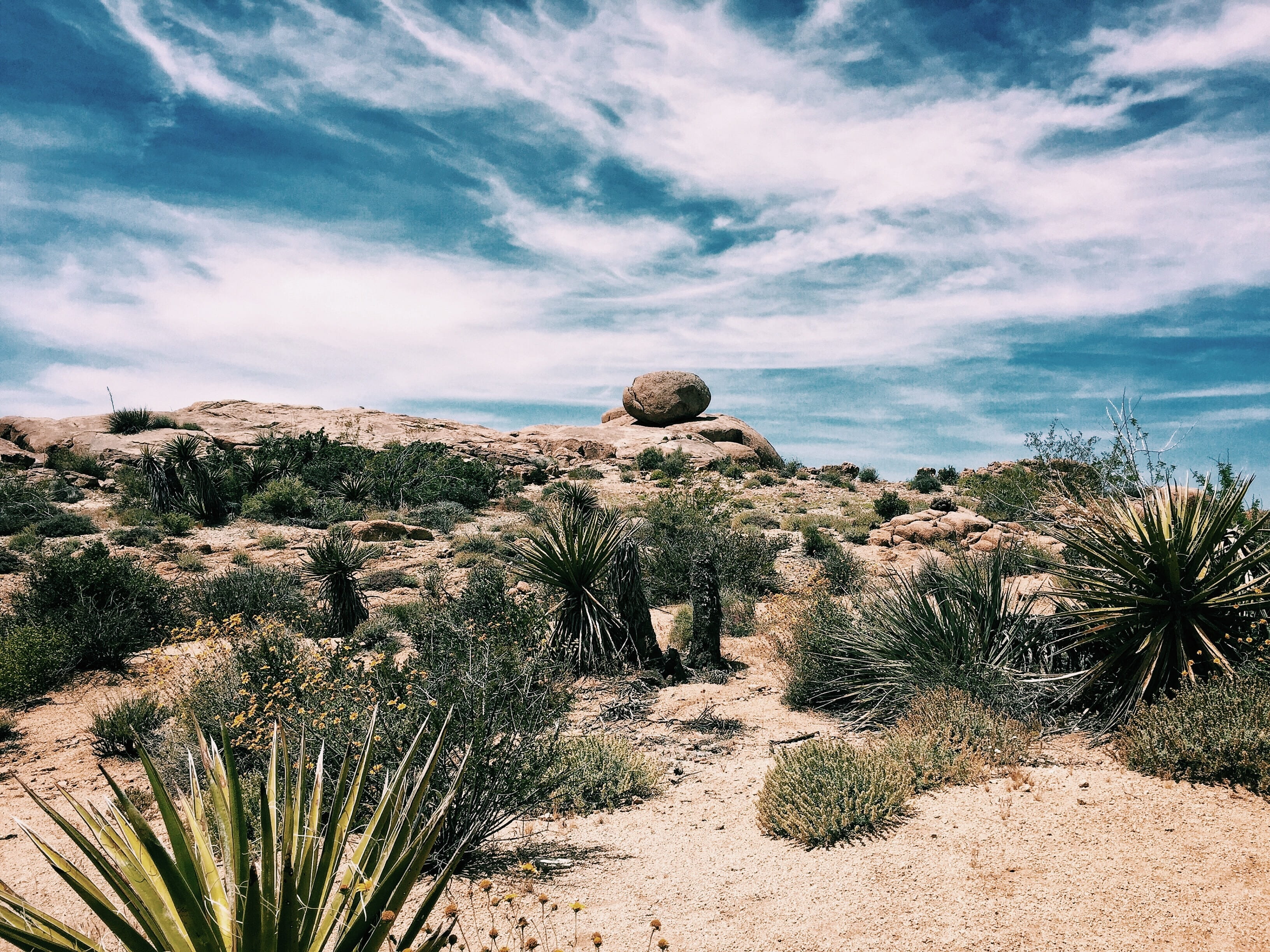 valley, scenic, tree, hot, mojave, sunrise, solid, death, cloud - sky, beauty in nature, dry, sky, 2K, america, sand, tranquil scene, rock, day, states, HD Wallpaper