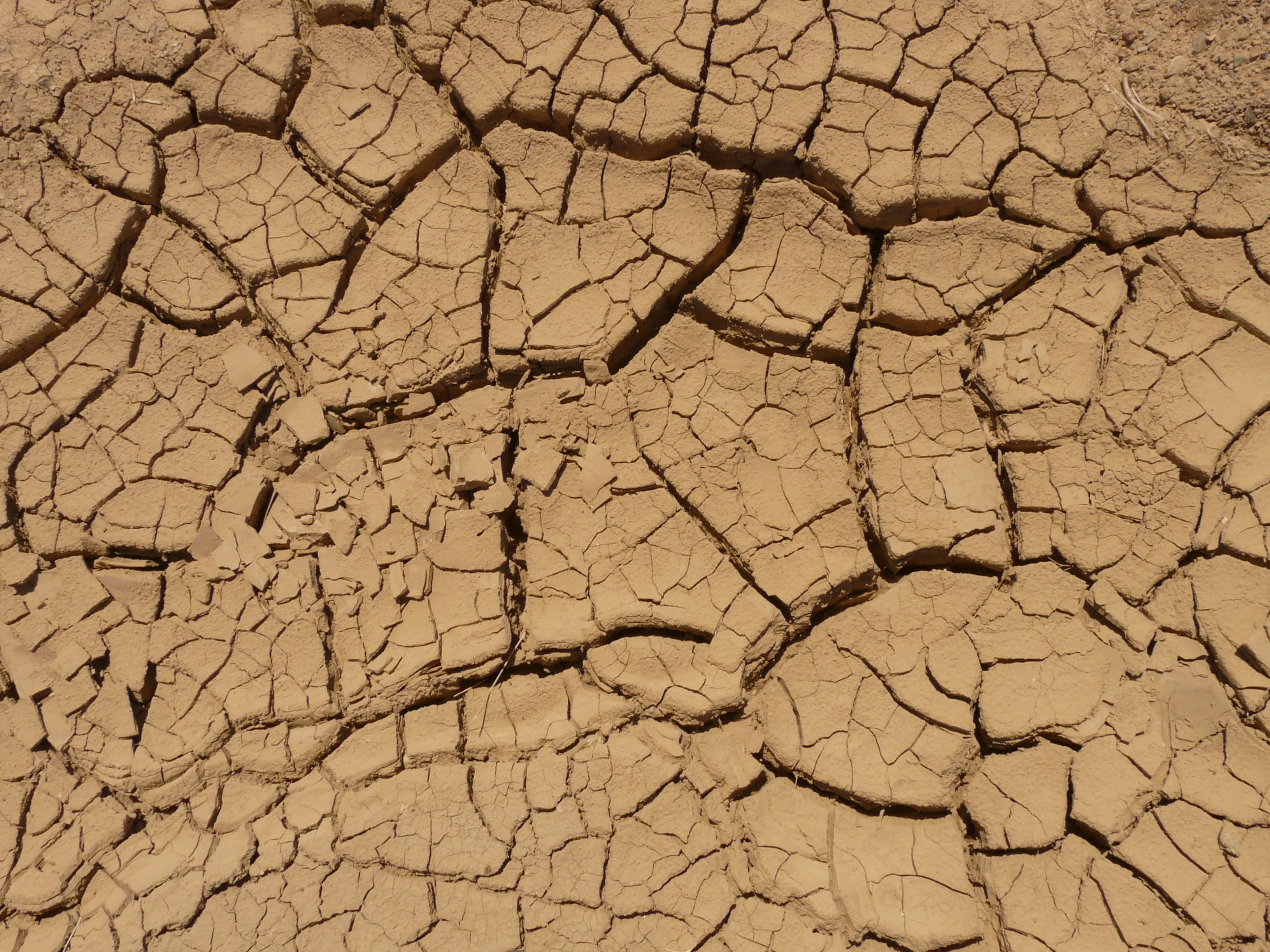 dirt, desert, outdoors, land, death valley national park, brown, full frame, barren, climate, nature, backgrounds, dry, environmental issues, parched, ground, HD Wallpaper