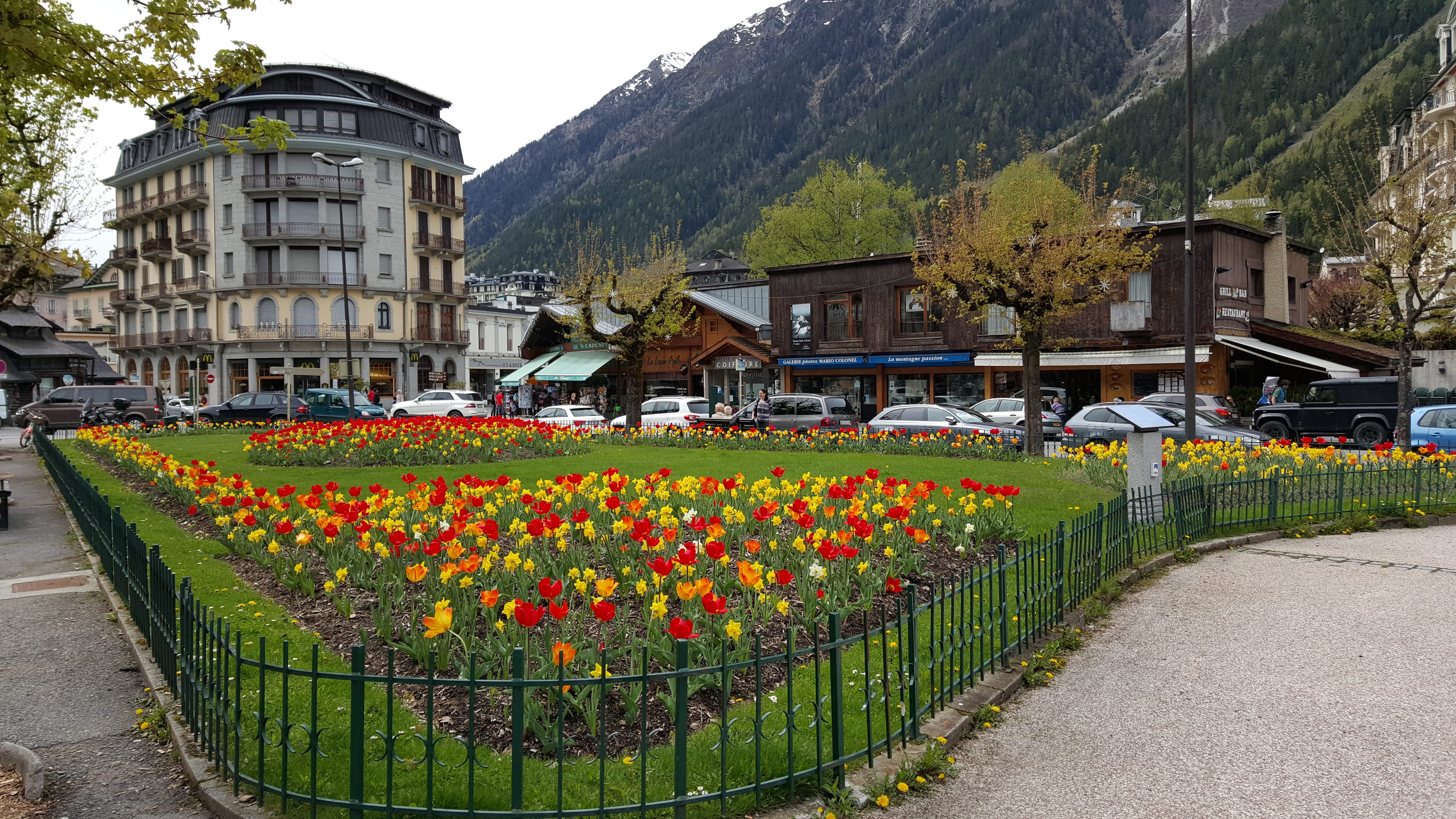 freshness, flowerbed, building exterior, multi colored, plant, travel destinations, day, springtime, tree, architecture, 5K, flower, france, growth, beauty in nature, HD Wallpaper