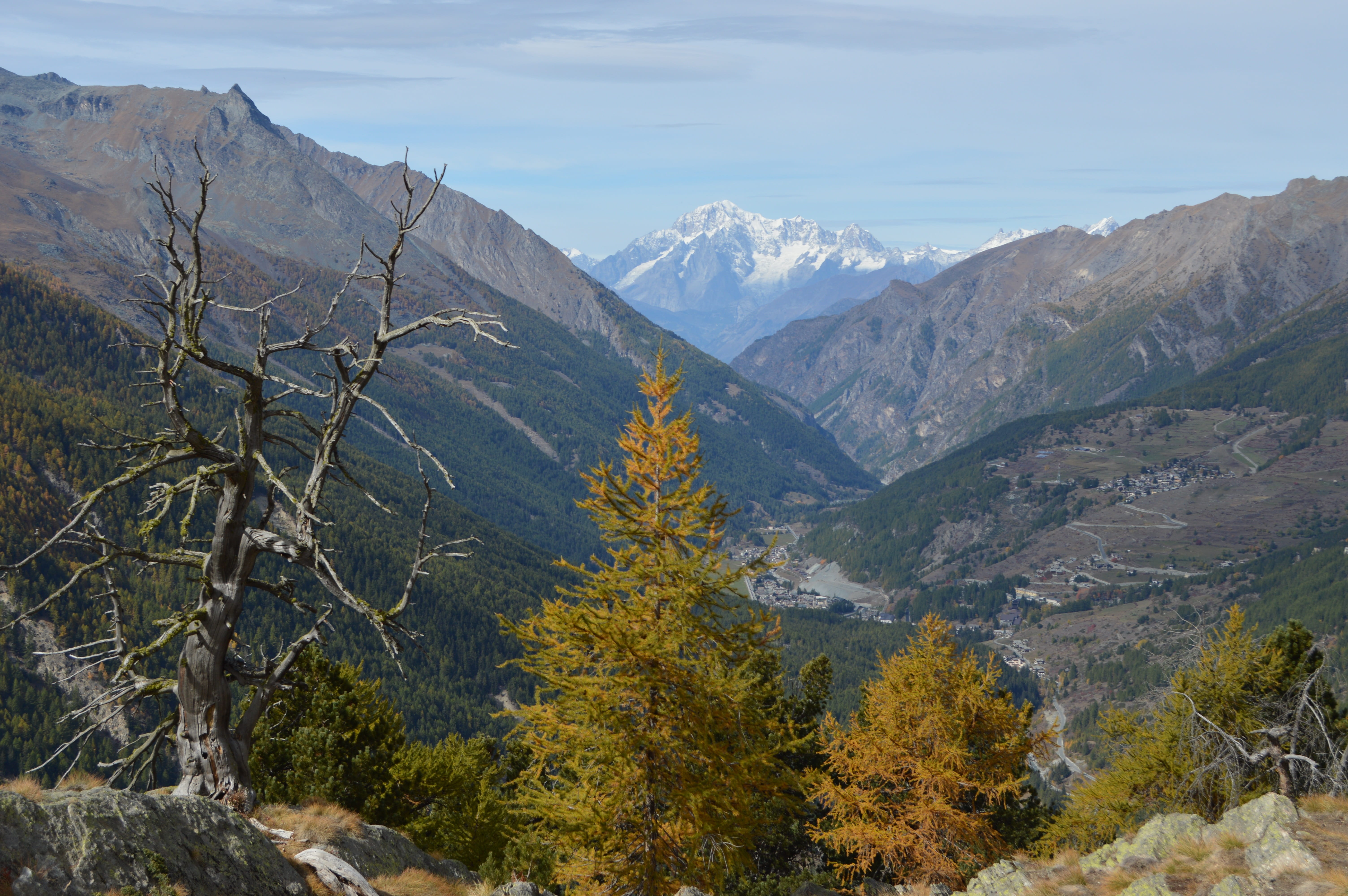 sky, idyllic, mountain range, mountain, land, nature parks, tranquil scene, non-urban scene, mont blanc, formation, scenics - nature, landscape, growth, HD Wallpaper
