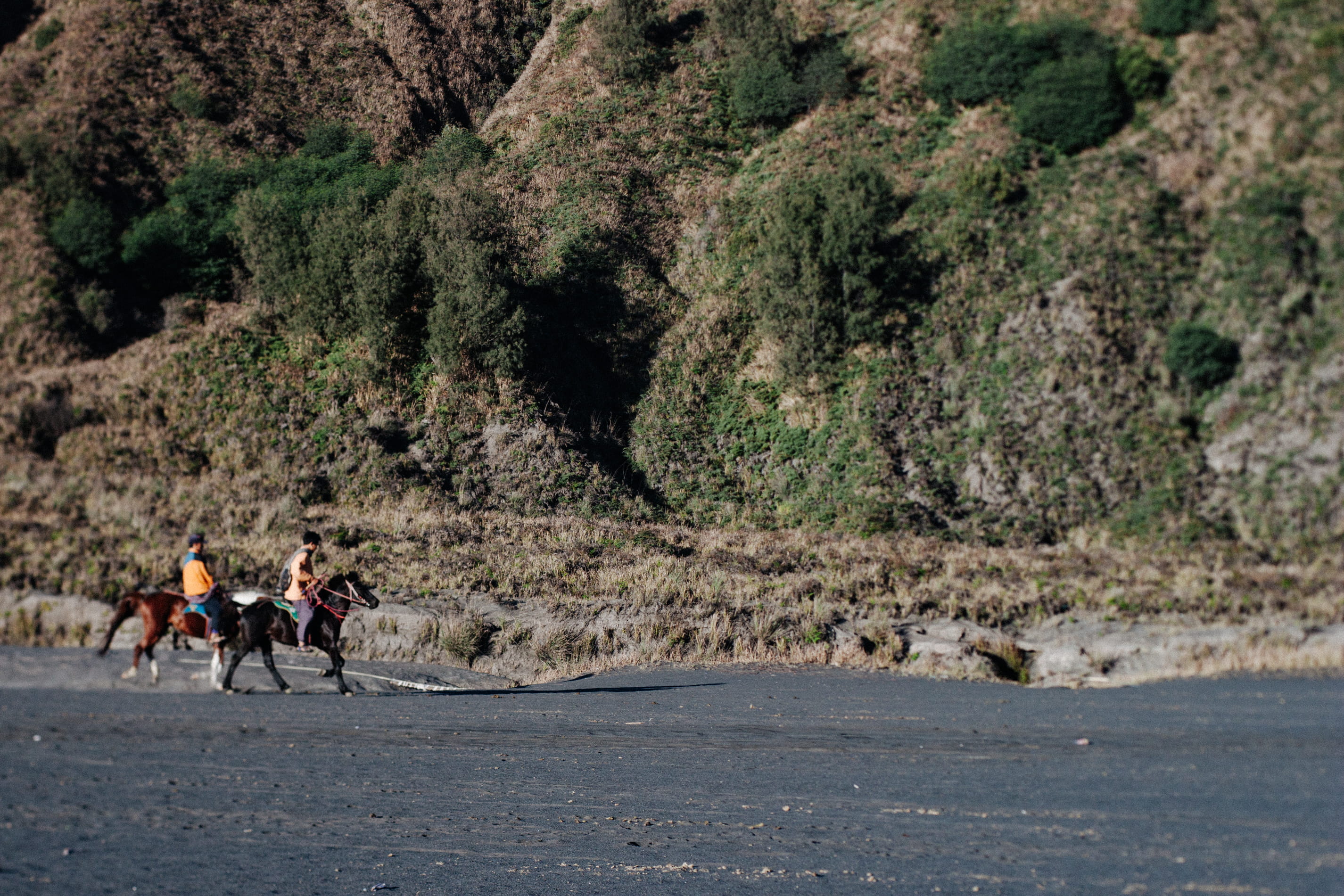 growth, nature, people, walking, group of people, lifestyles, full length, plant, mount bromo, men, women, malang, real people, adult, leisure activity, HD Wallpaper