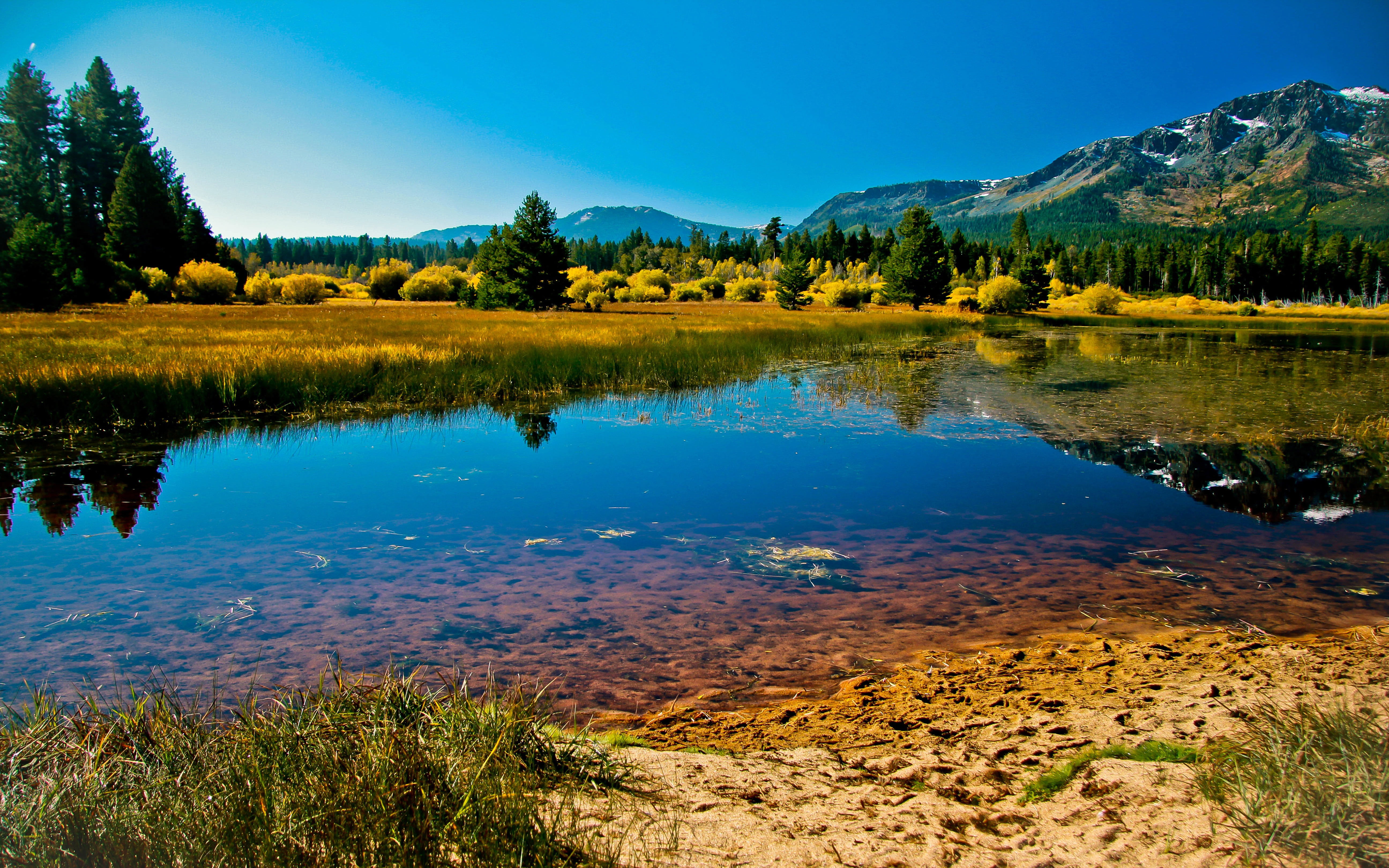 tahoe, reflection, lake, environment, sky, water, grass, america, tranquility, nevada, tree, beauty in nature, day, outdoors, tablet, desktop, green color, HD Wallpaper