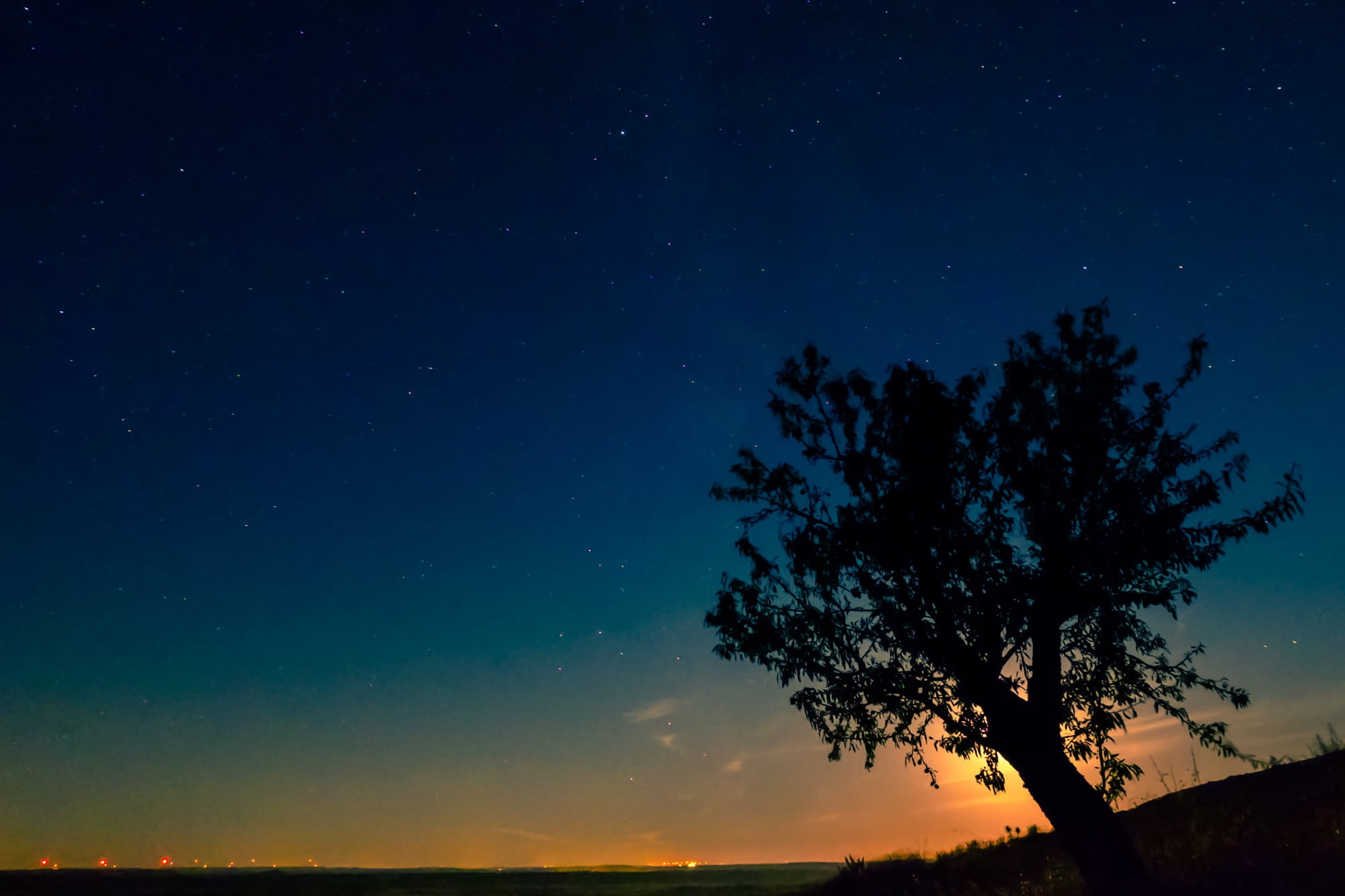 star, tree, summer, universe, low, cosmos, low angle view, star field, orange color, scenics - nature, trees, tranquil scene, space, night, landscape, plant, HD Wallpaper