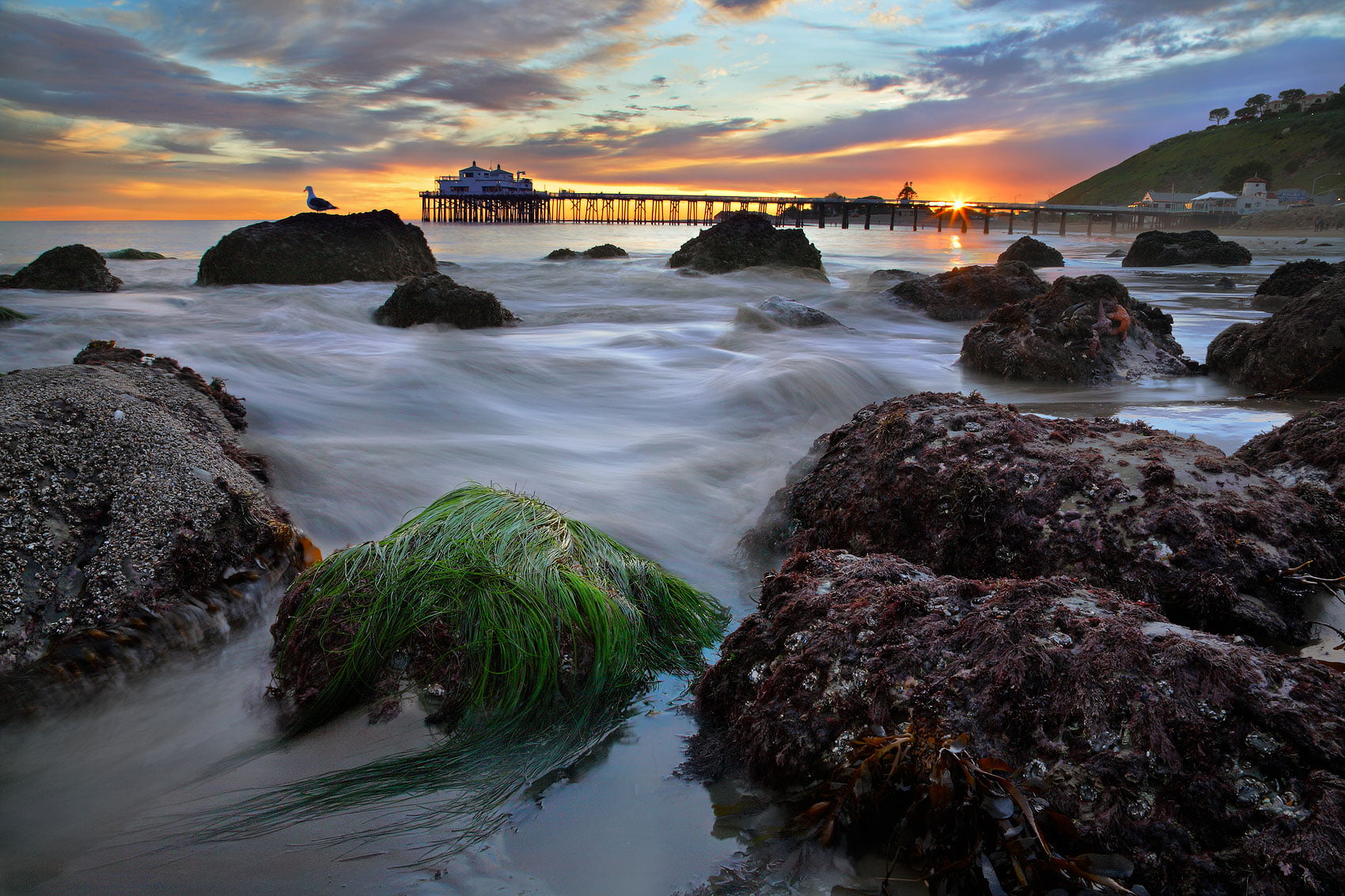 Perseids, scenics, sea water, cloud, rock, pacheco, fish, coastline, Malibu Pier, ocean, sunrays, moss, dance, blue, dusk, bluewater, seascape, 720P, california, HD Wallpaper