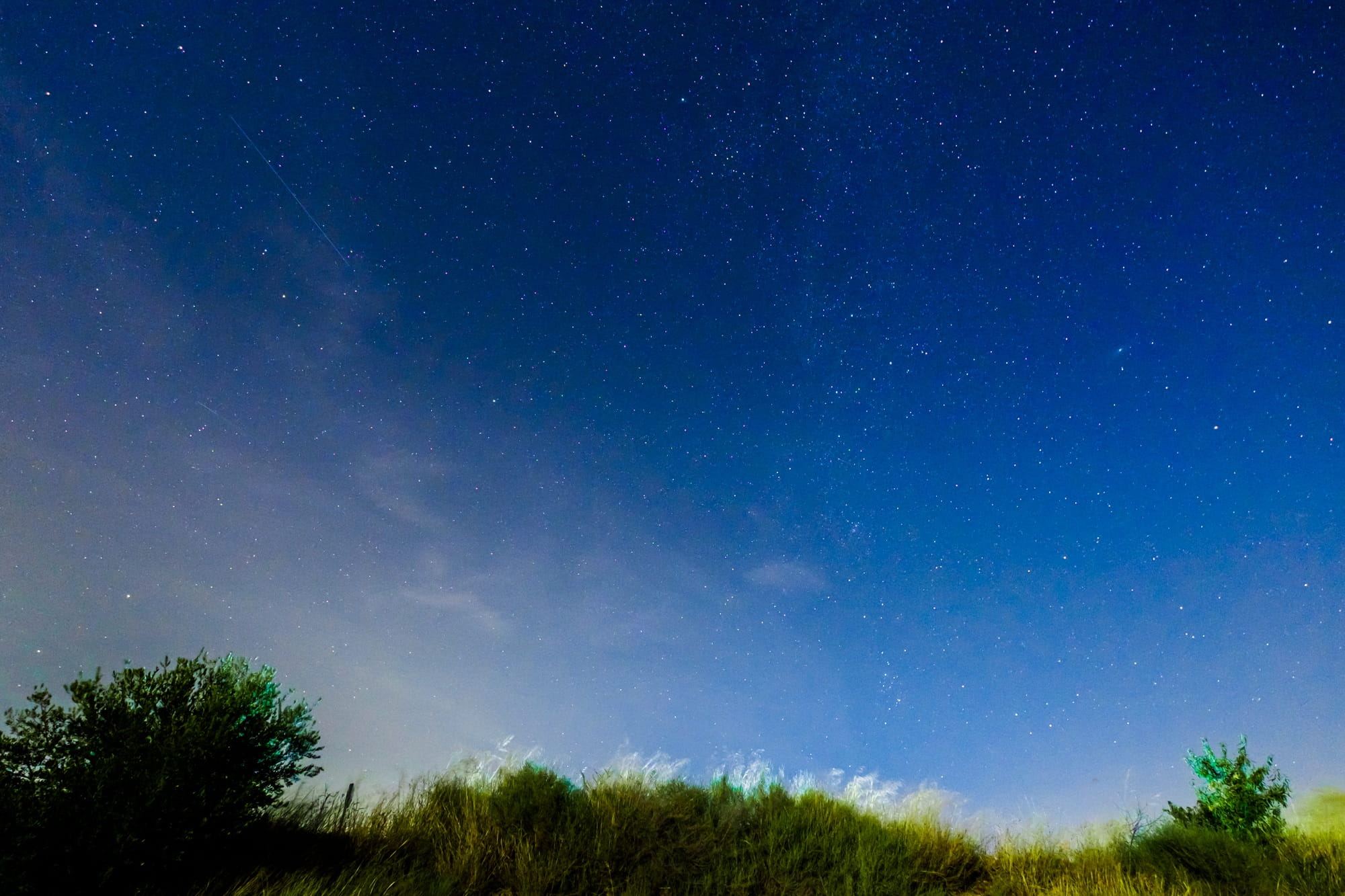 no people, trees, perseid, tree, space, galaxy, cosmos, landscape, astronomy, 1080P, beauty in nature, space and astronomy, astrophotography, nature, scenics - nature, HD Wallpaper