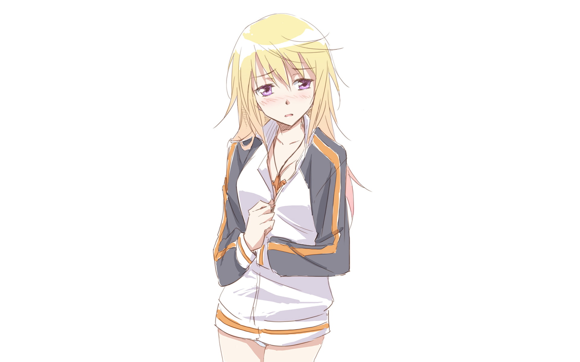 anime girls, Dunois Charlotte, Infinite Stratos, anime, 1080P, HD Wallpaper