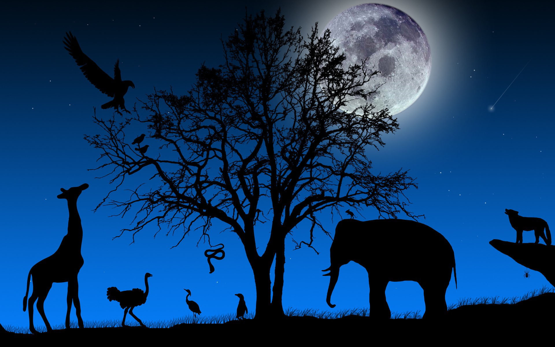 animal themes, The MOON, mammal, group of animals, animal wildlife, FORMS, BIRDS, METEORITE, LANDSCAPE, GIRAFFE, DIVERSITY, ANIMALS, The SKY, domestic animals, HD Wallpaper