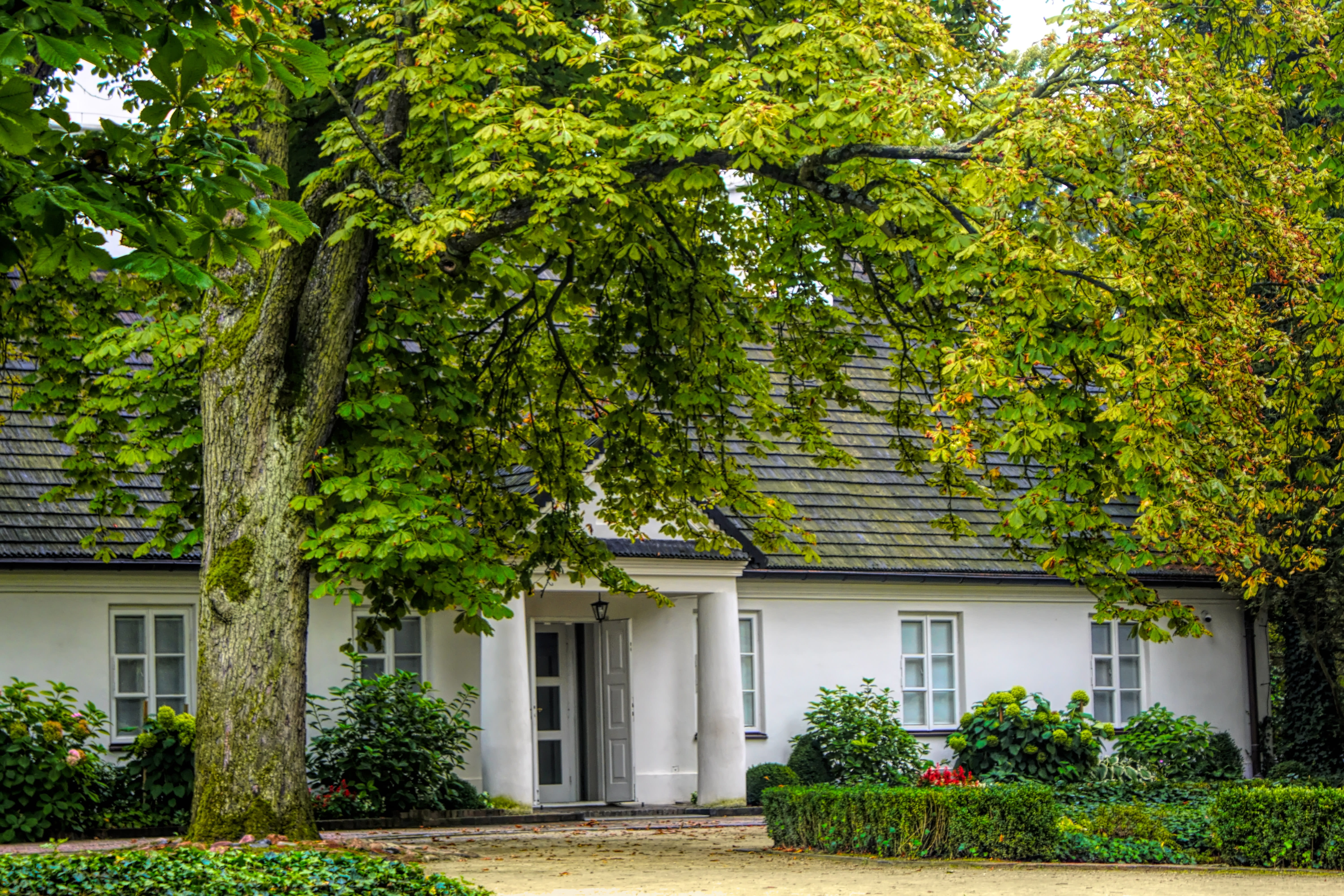 growth, ivy, beauty in nature, architecture, built structure, ornamental garden, 5K, residential district, tree, composer, fryderyk chopin, music, leaf, HD Wallpaper