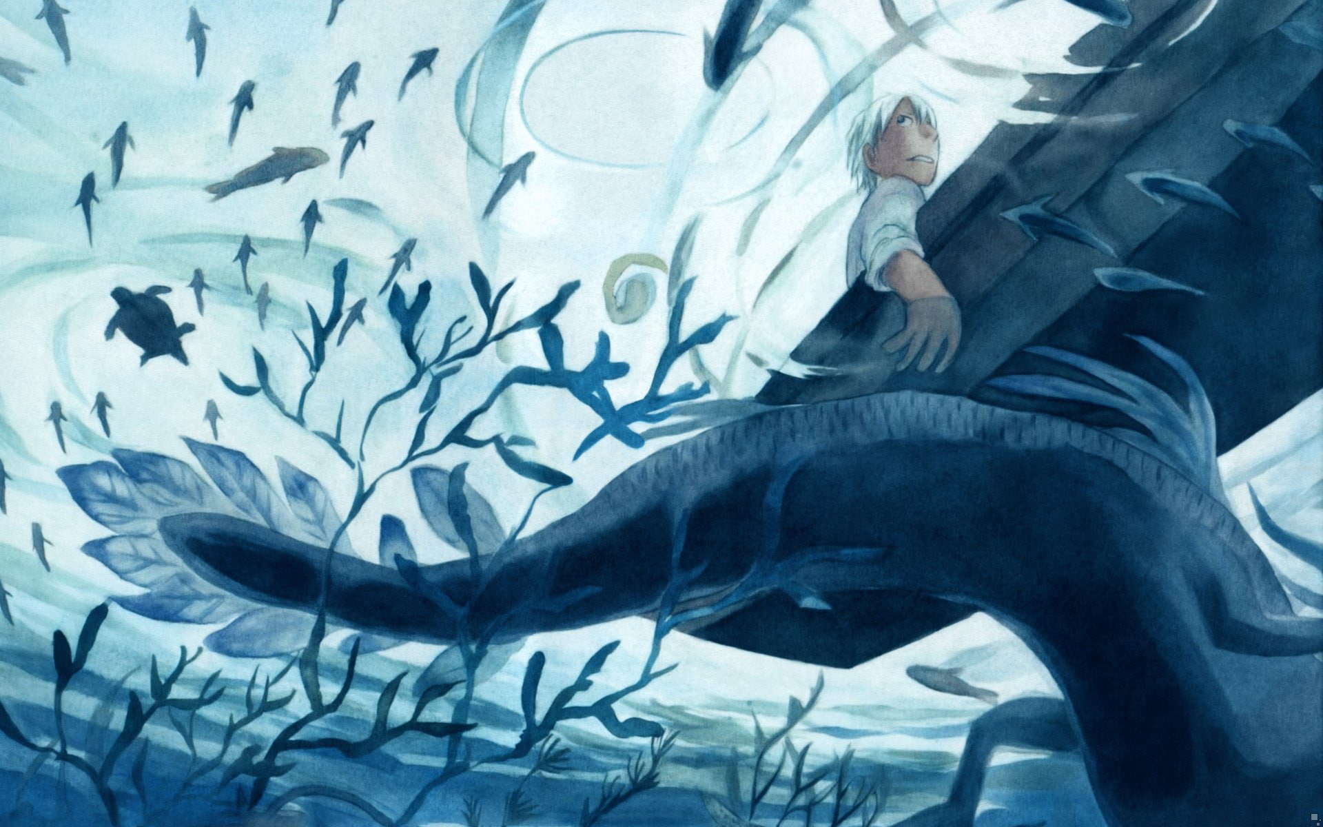 Anime, Ginko (Mushishi), 1080P, Mushishi, HD Wallpaper