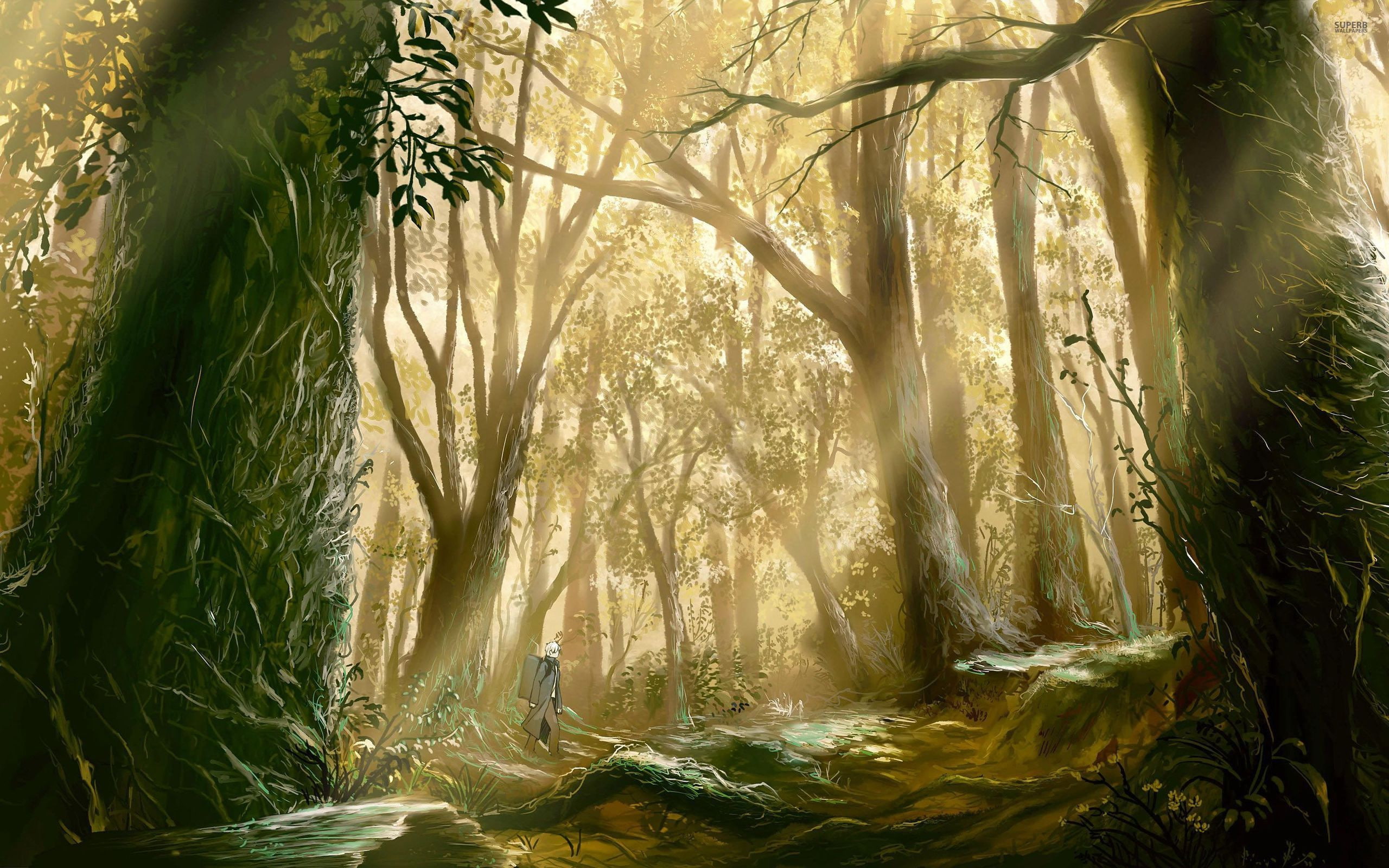 8K, ultra hd, 2880x1800, 2K, www.hdpicture.in, mushishi, anime, hdpicture.in, 4K, HD Wallpaper