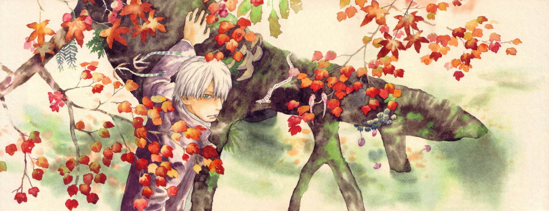 Anime, Mushishi, 1080P, Ginko (Mushishi), HD Wallpaper