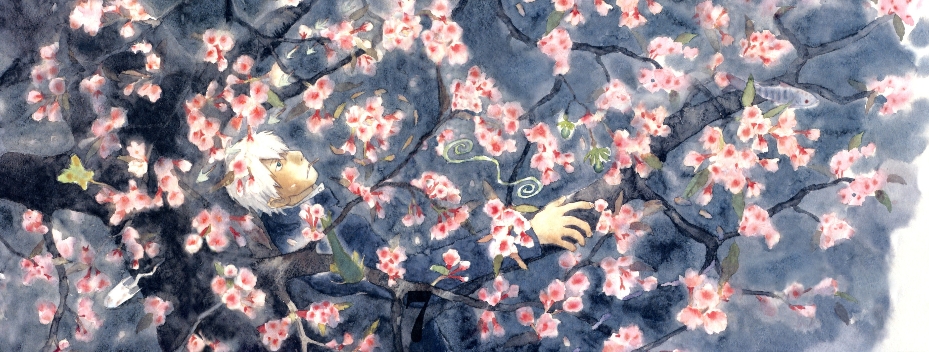 mushishi, ginko, 2K, HD Wallpaper