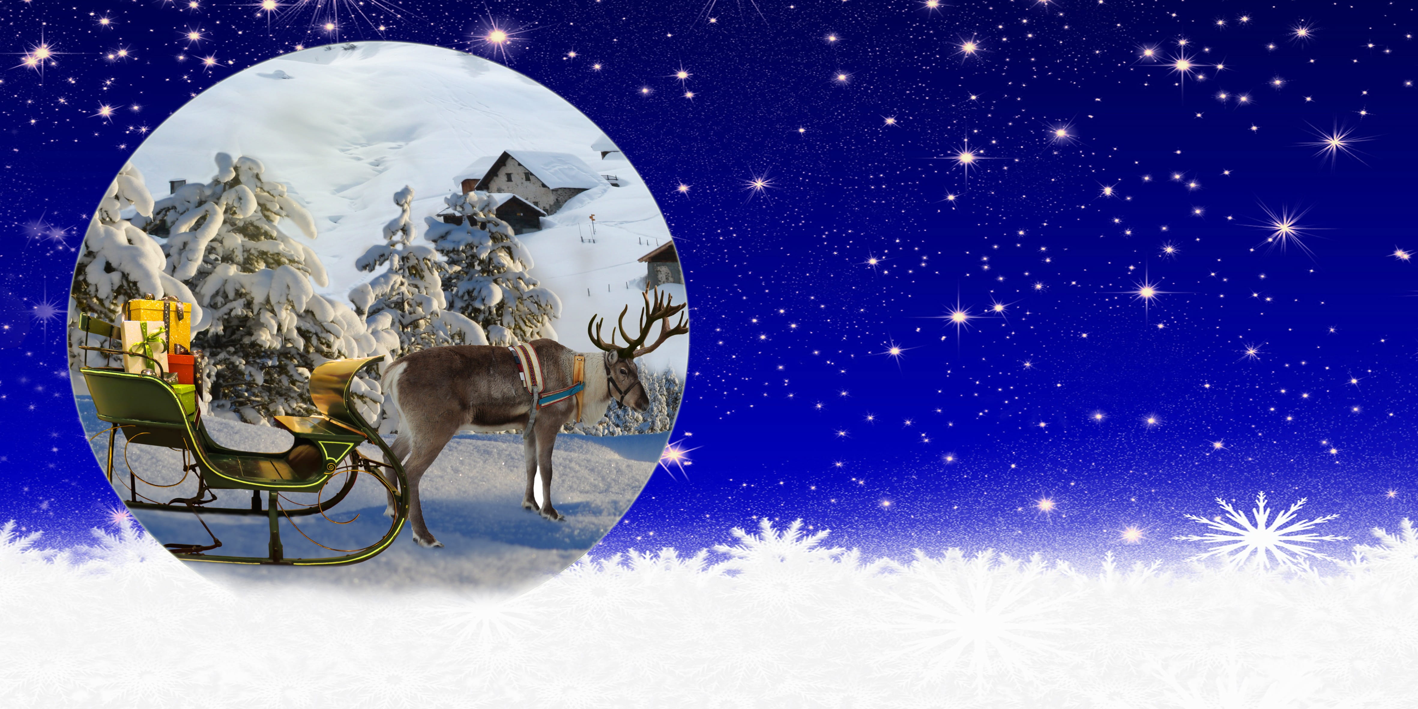 celebration, christmas ornament, christmas decoration, night, greeting card, decoration, animal, cold temperature, tree decorations, christmas greeting, HD Wallpaper