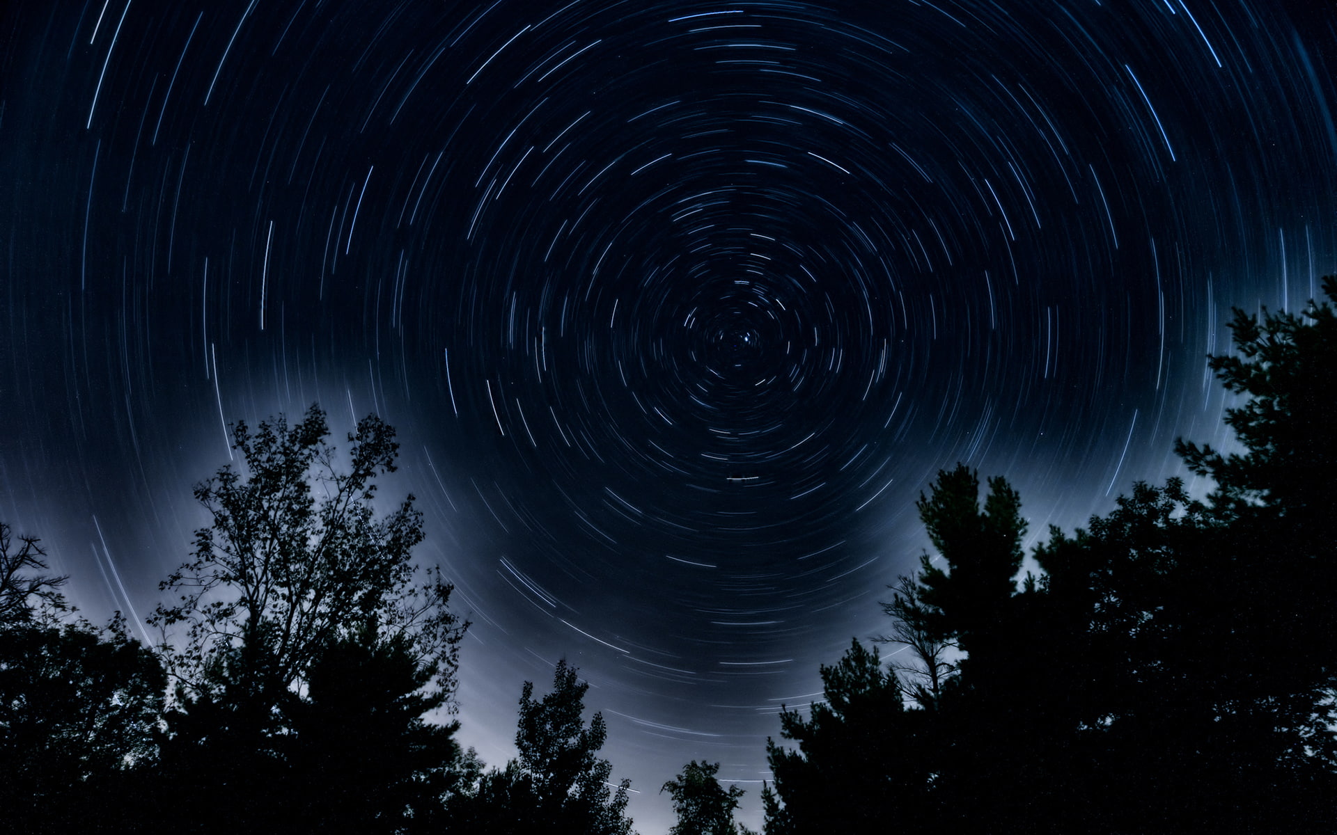 1080P, night, hd, stars, timelapse, trees, nature, HD Wallpaper