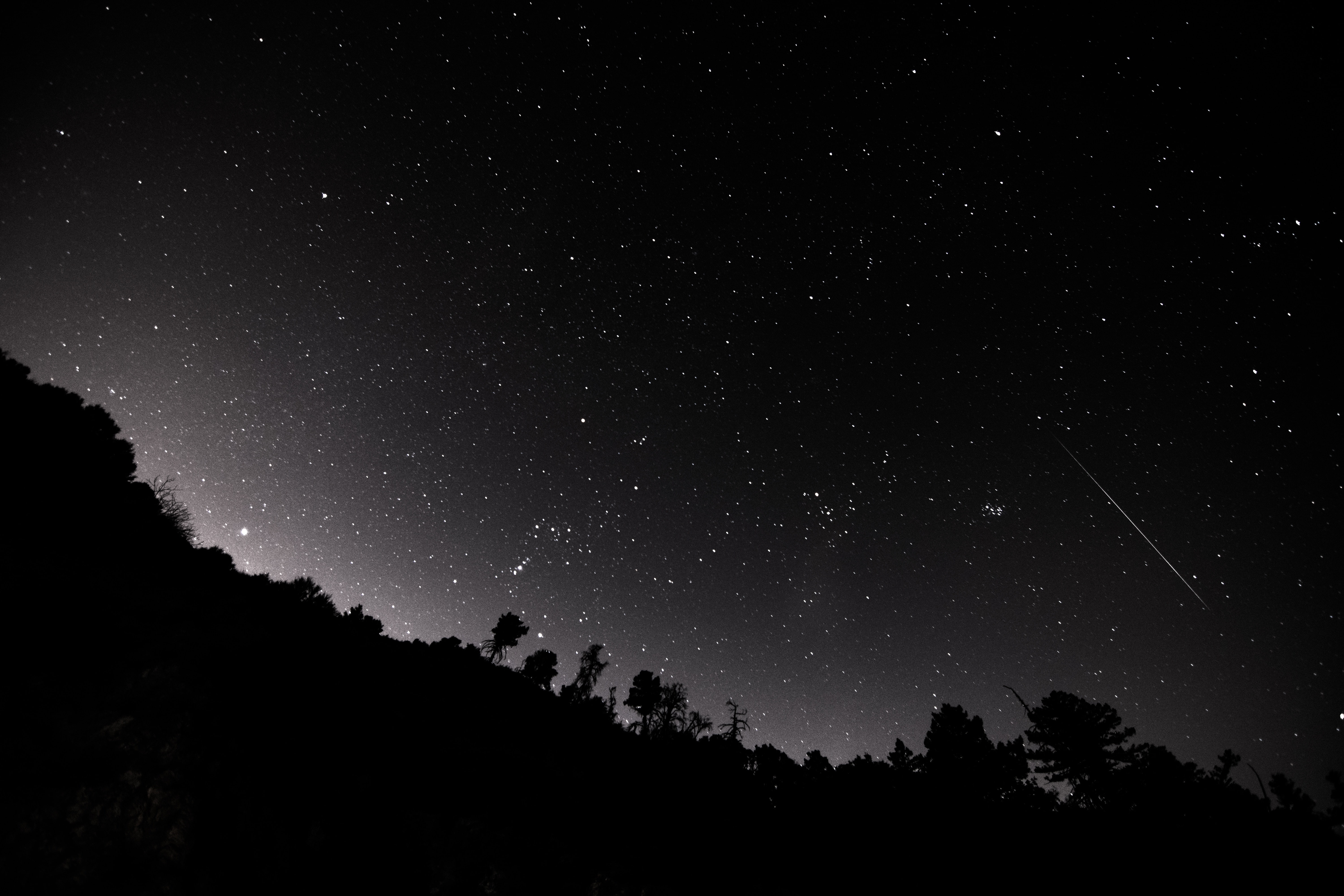 trees, landscape, mountains, night, 5K, shooting stars, starry night, stars, HD Wallpaper
