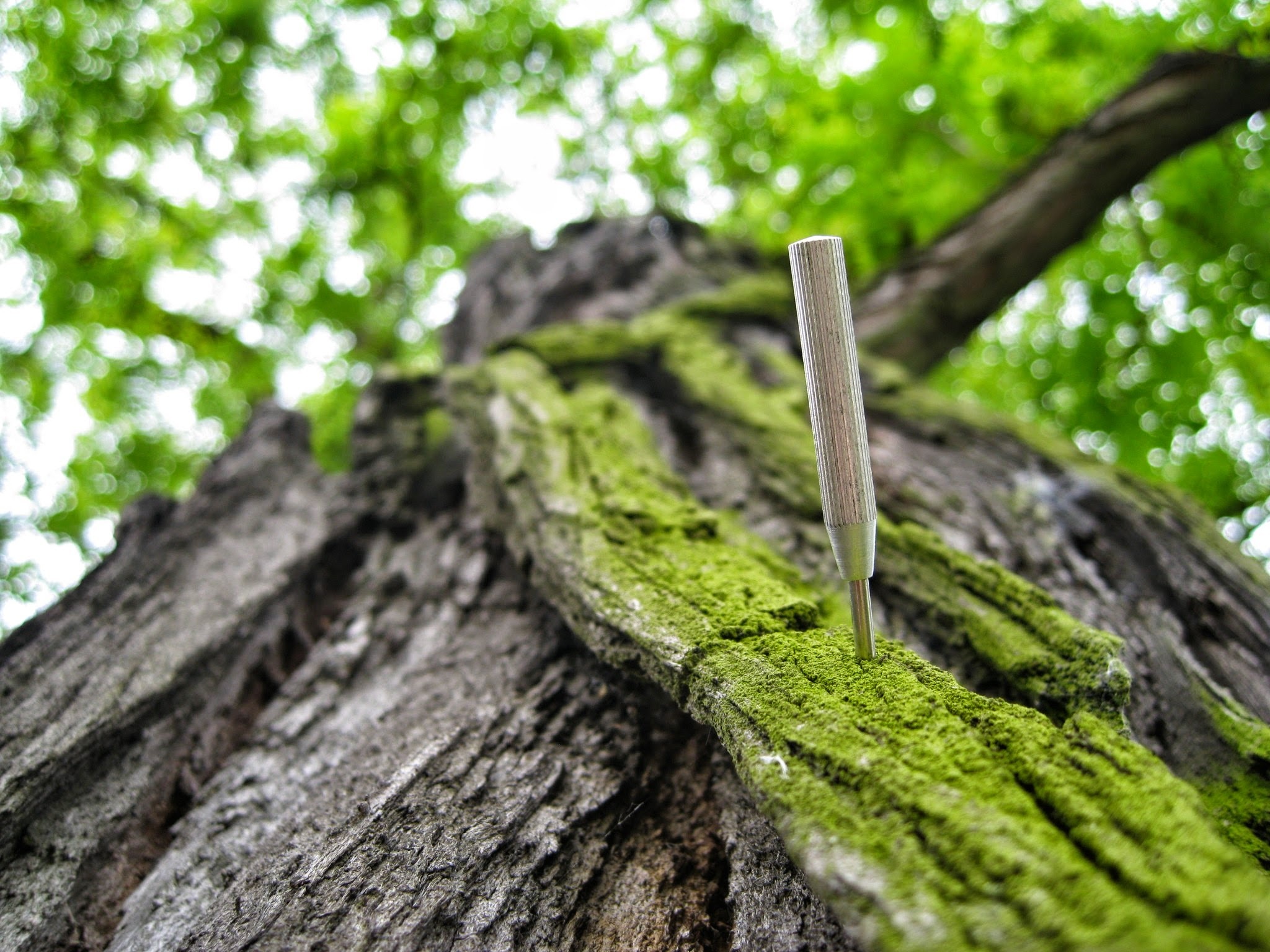 stick, tree trunk, focus on foreground, pin, vegetable, no people, wood - material, abstract, up, bark, textured, composition, selective focus, cracks, HD Wallpaper