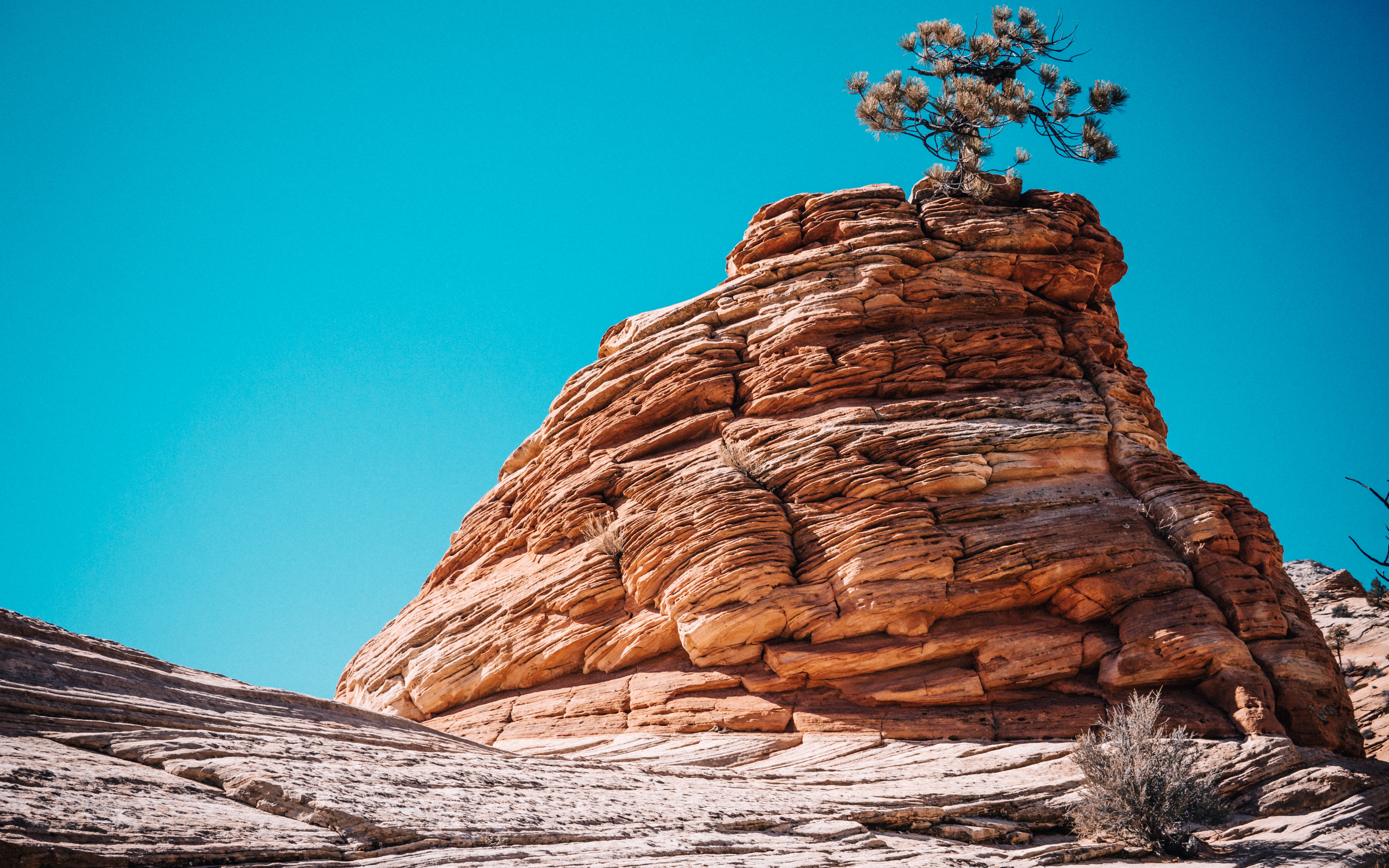 non-urban scene, top, rad, low angle view, utah, 5K, cliff, eroded, sky, beauty in nature, bird, day, formation, countryside, blue, physical geography, HD Wallpaper