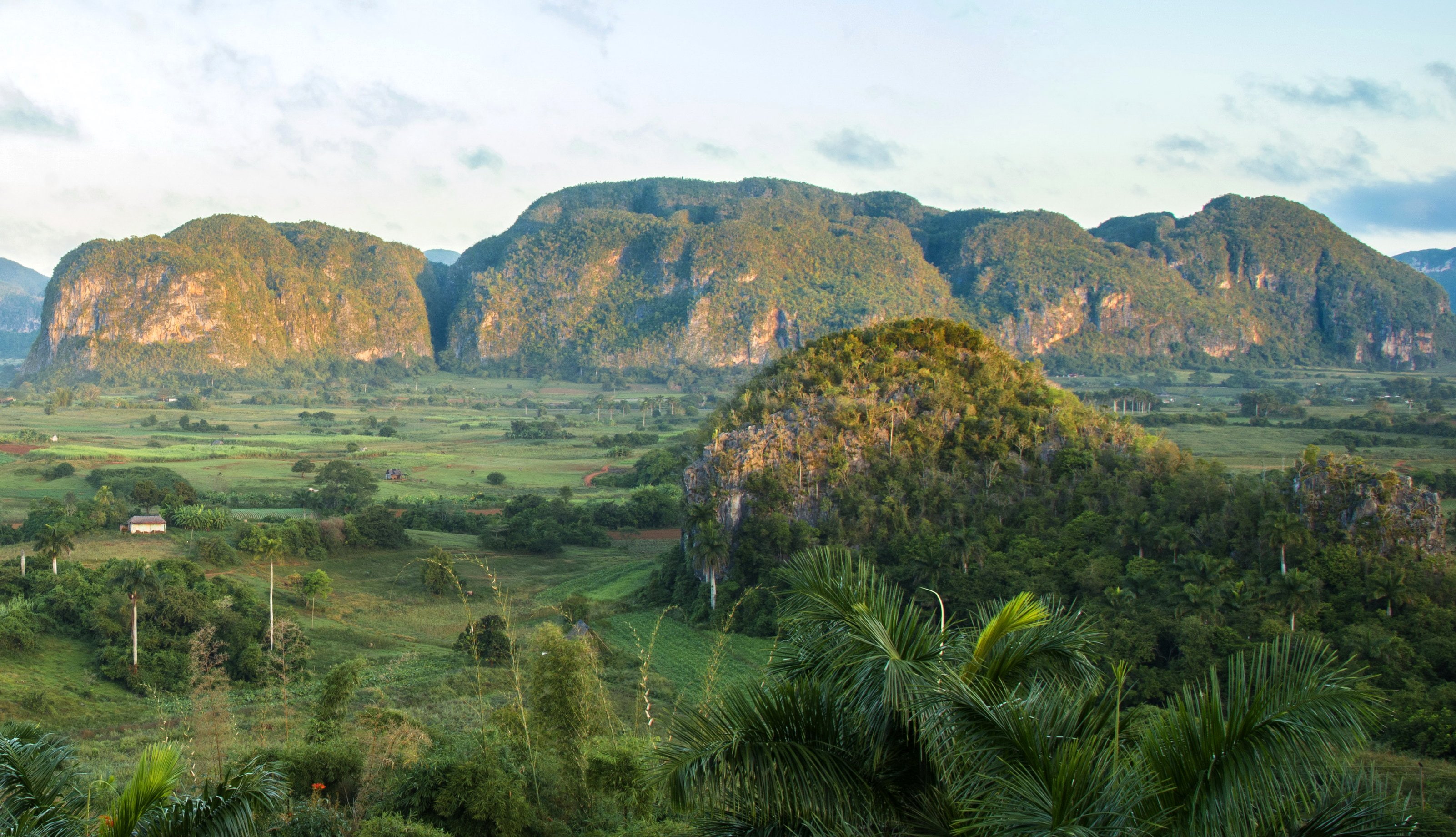 palma, rio, fields, cuba, vinales, pinar, nature, scenery, 2K, mountains, del, HD Wallpaper
