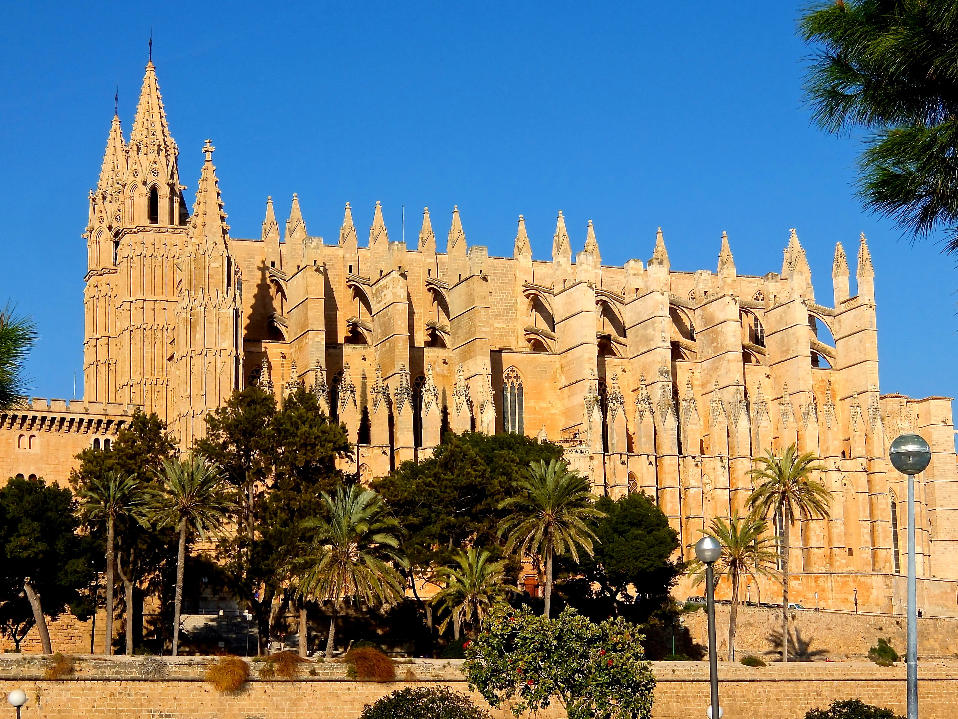 day, the past, religion, architecture, plant, clear sky, Building, place of worship, nature, built structure, sun, tree, travel destinations, palm tree, HD Wallpaper