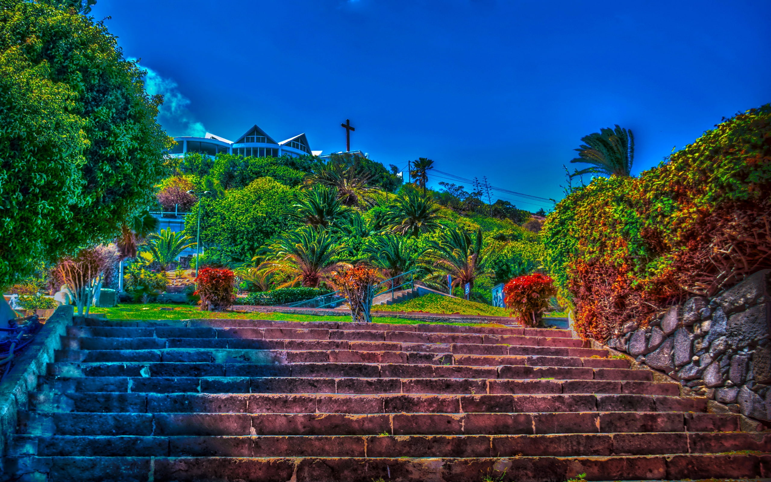 nature, palma, 2K, las, gran, palmas, canaria, spain, stairs, de, hdr, parks, HD Wallpaper